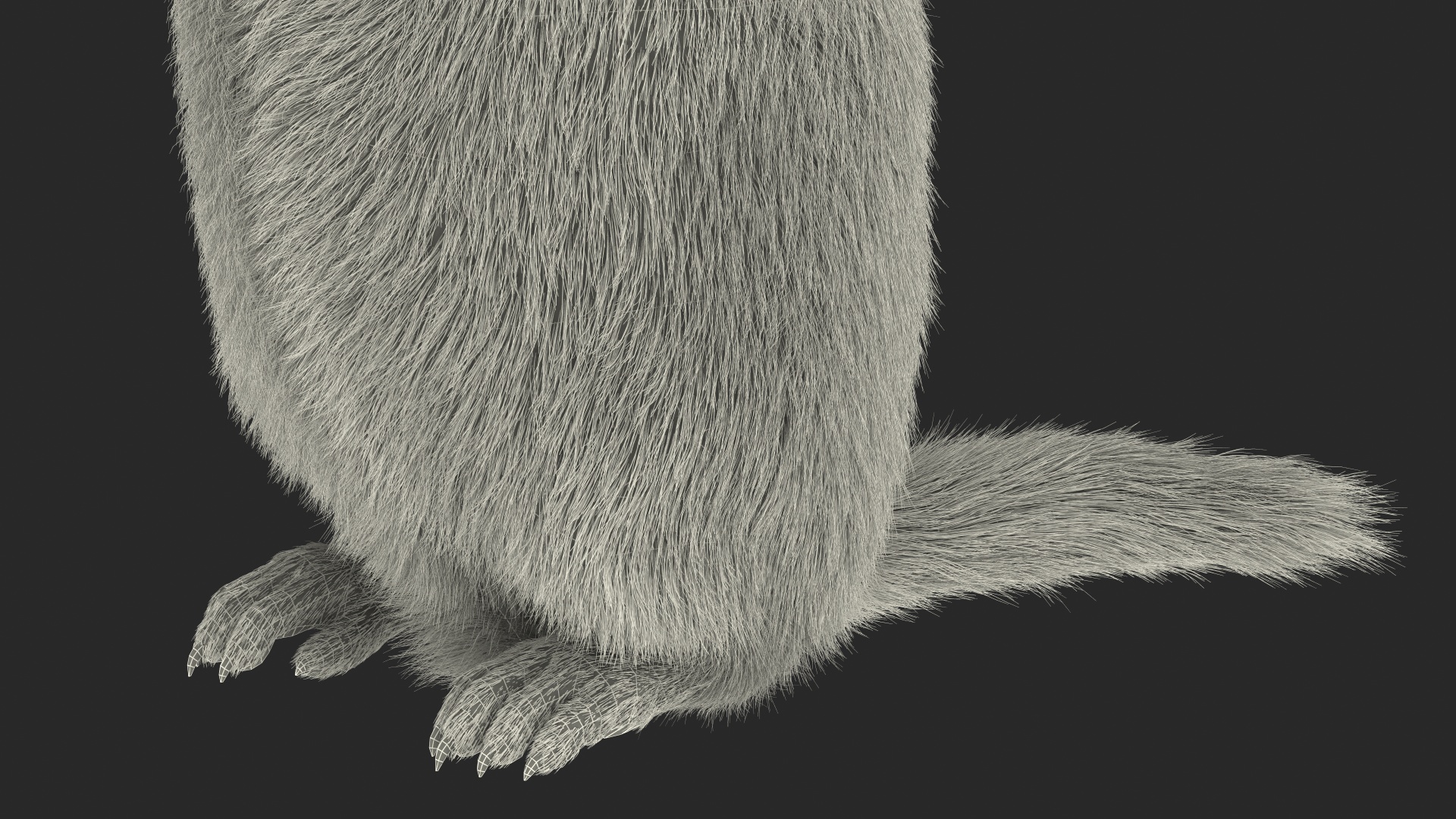 3D model Groundhog Standing on Hind Legs Fur