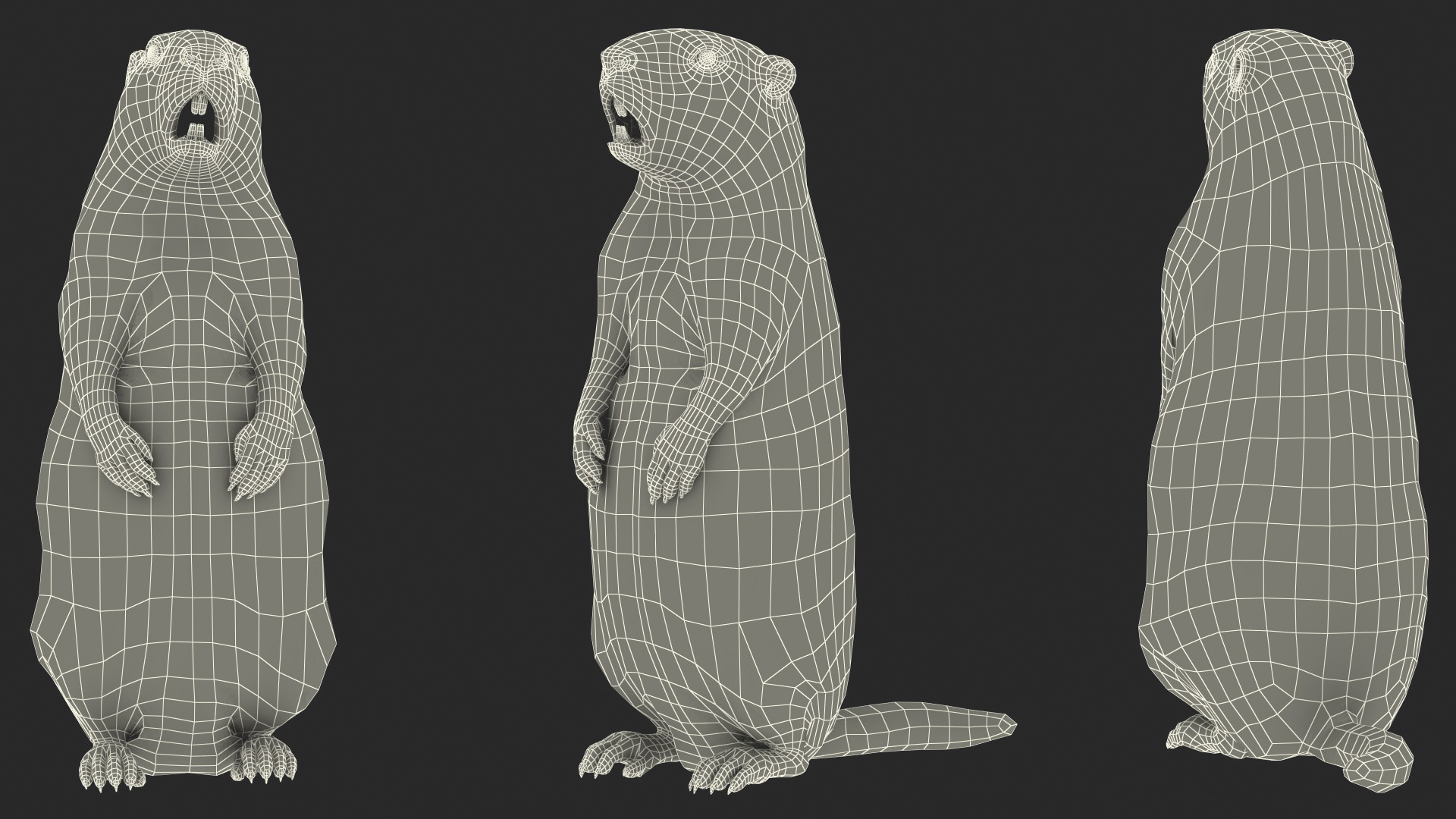 3D model Groundhog Standing on Hind Legs Fur