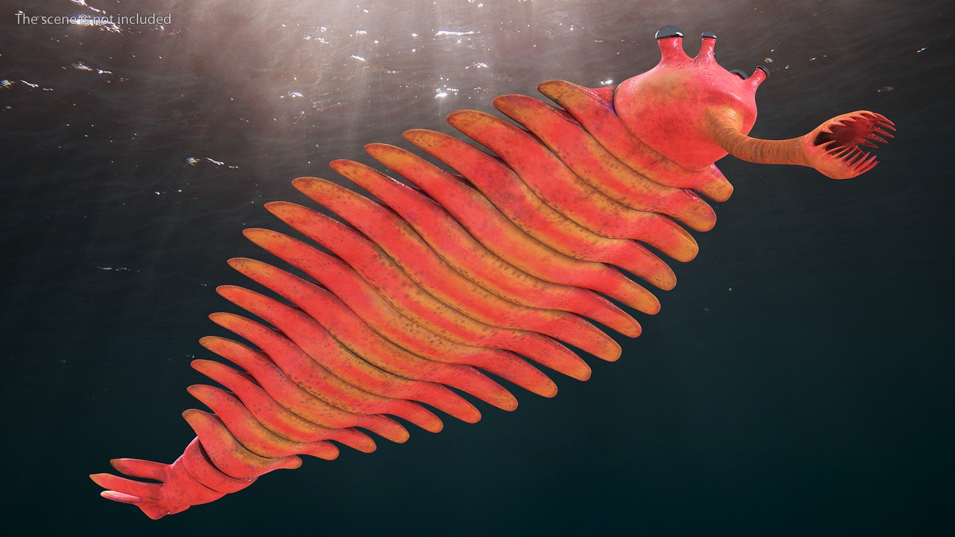 3D Pink Opabinia model