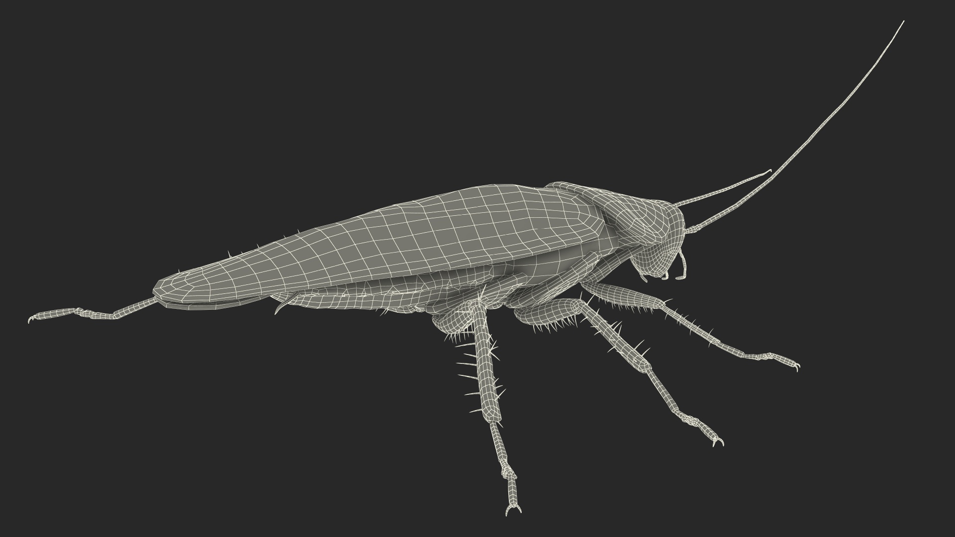 3D Red Flying Cockroach Rigged for Maya