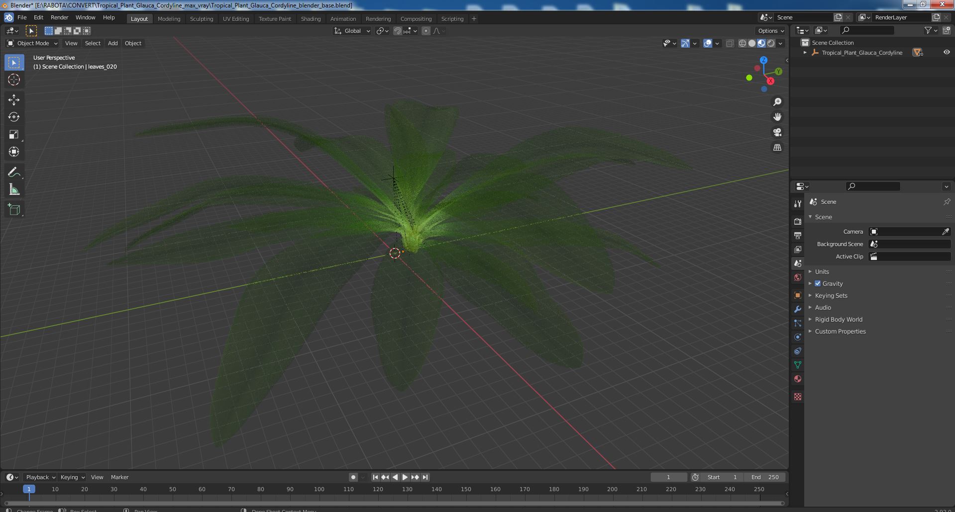 3D Tropical Plant Glauca Cordyline