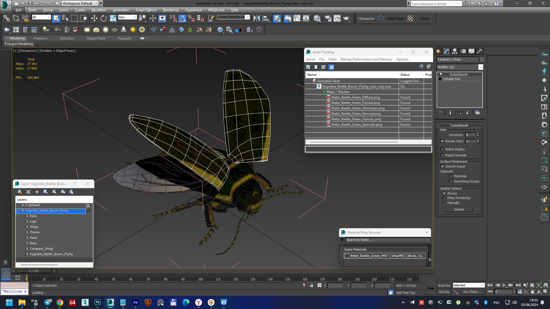 3D Hygrobia Beetle Brown Flying model