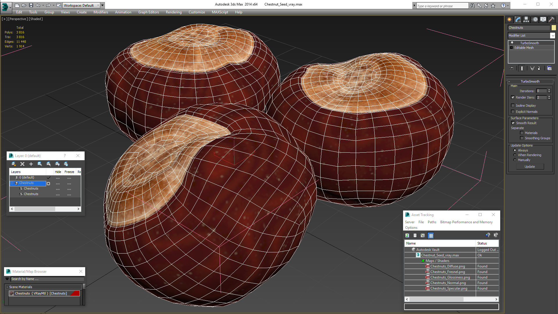 3D Chestnut Seed model