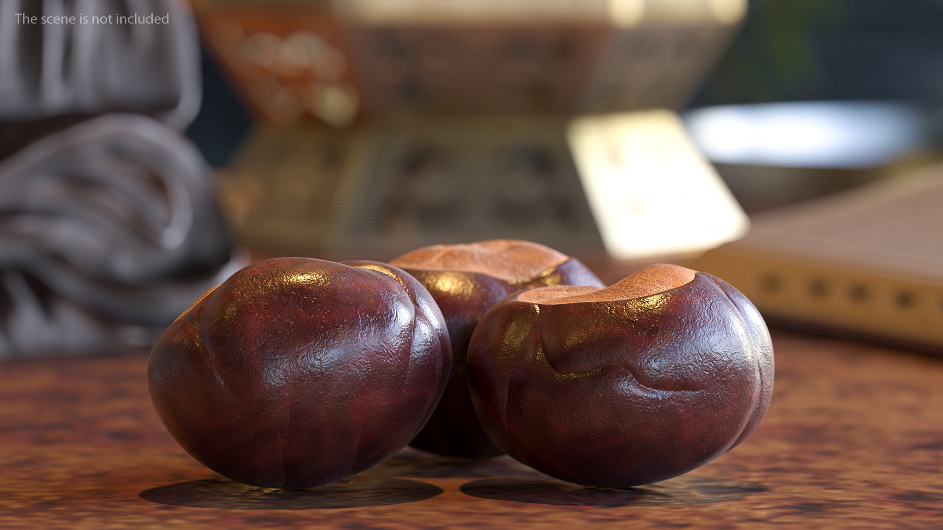 3D Chestnut Seed model