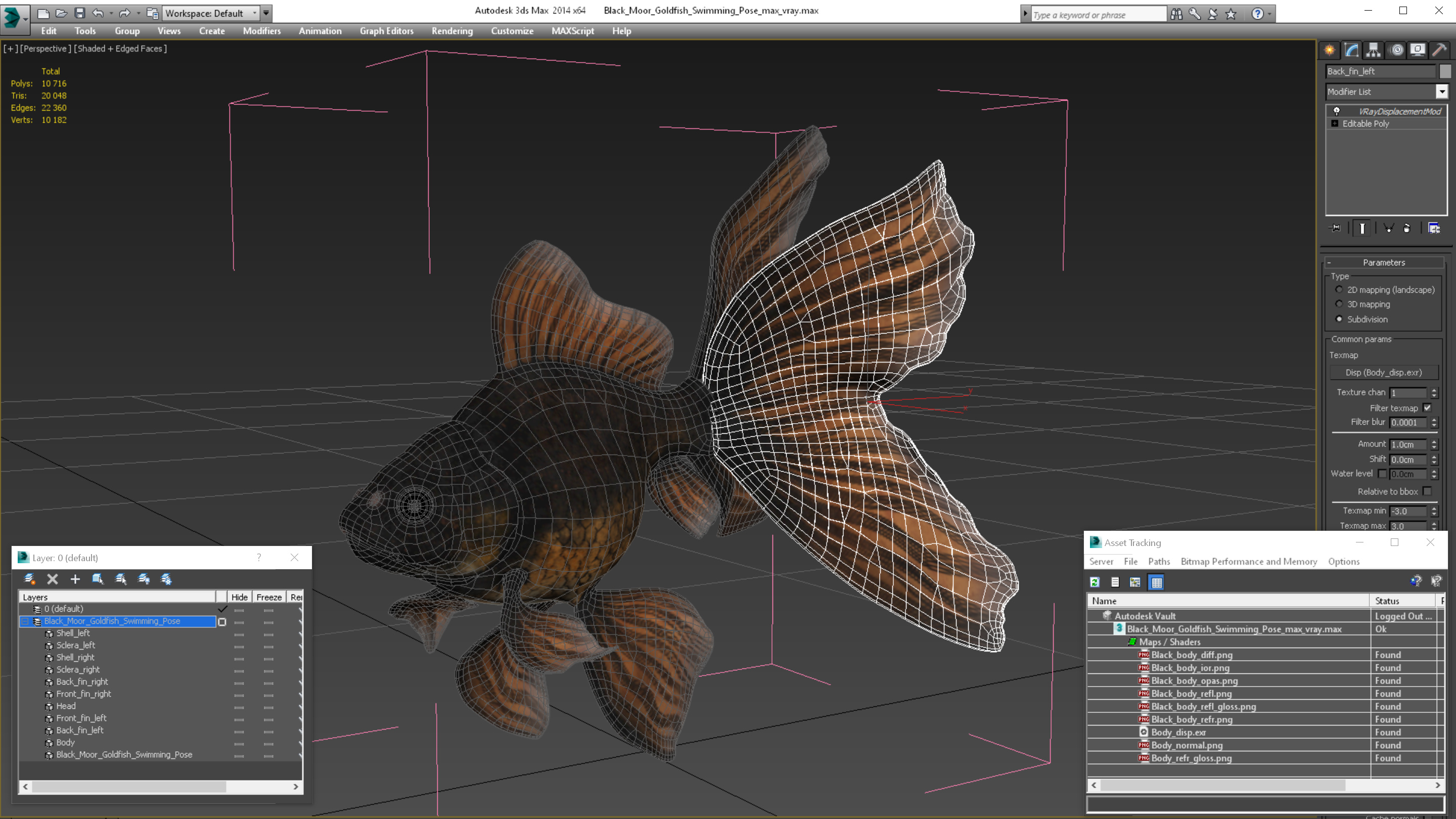 3D Black Moor Goldfish Swimming Pose model