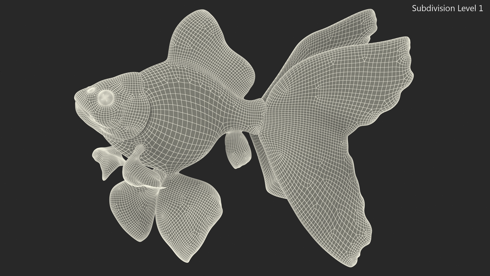 3D Black Moor Goldfish Swimming Pose model