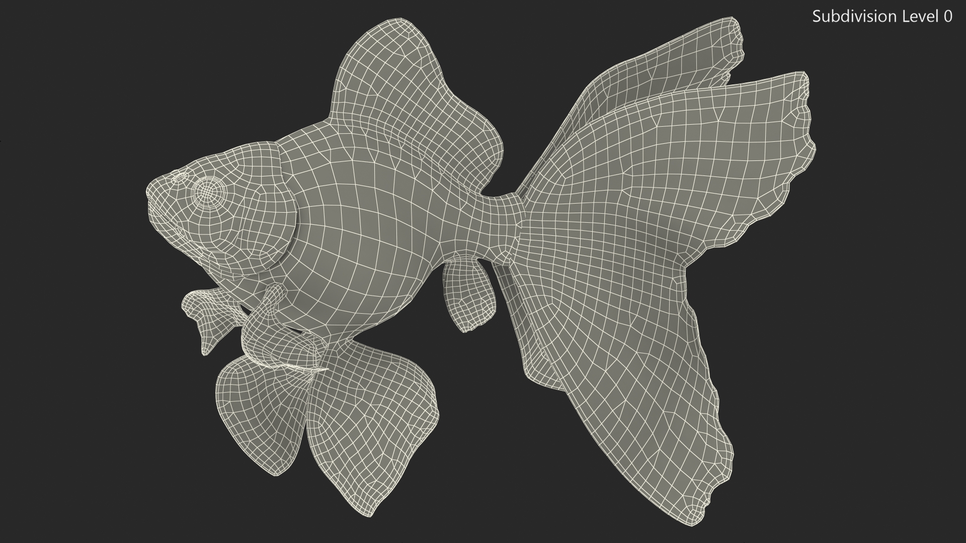 3D Black Moor Goldfish Swimming Pose model