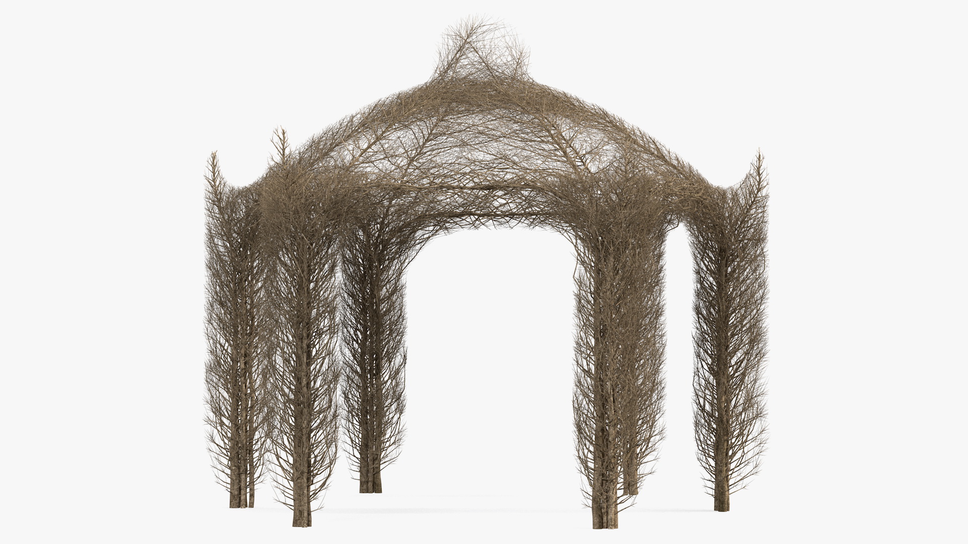 3D Branch Gazebo model