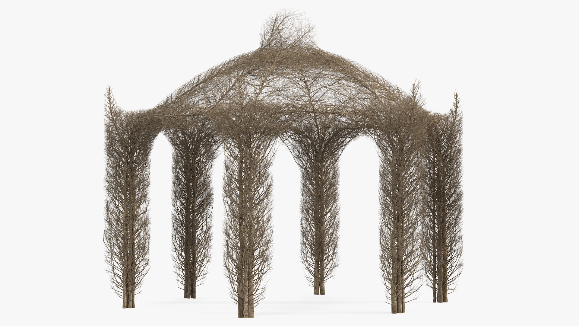 3D Branch Gazebo model