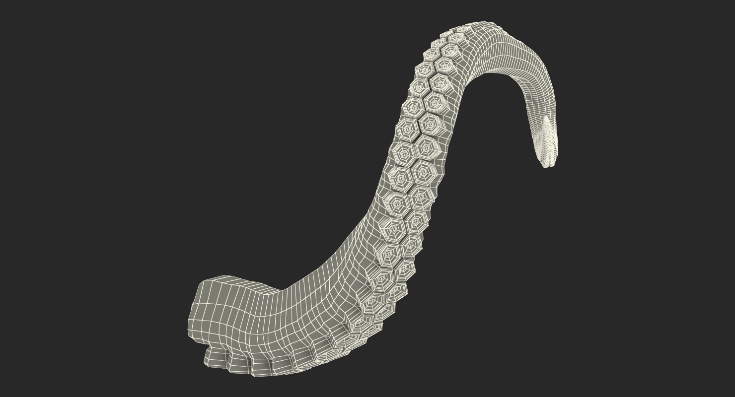 Tentacle of Octopus 3D model