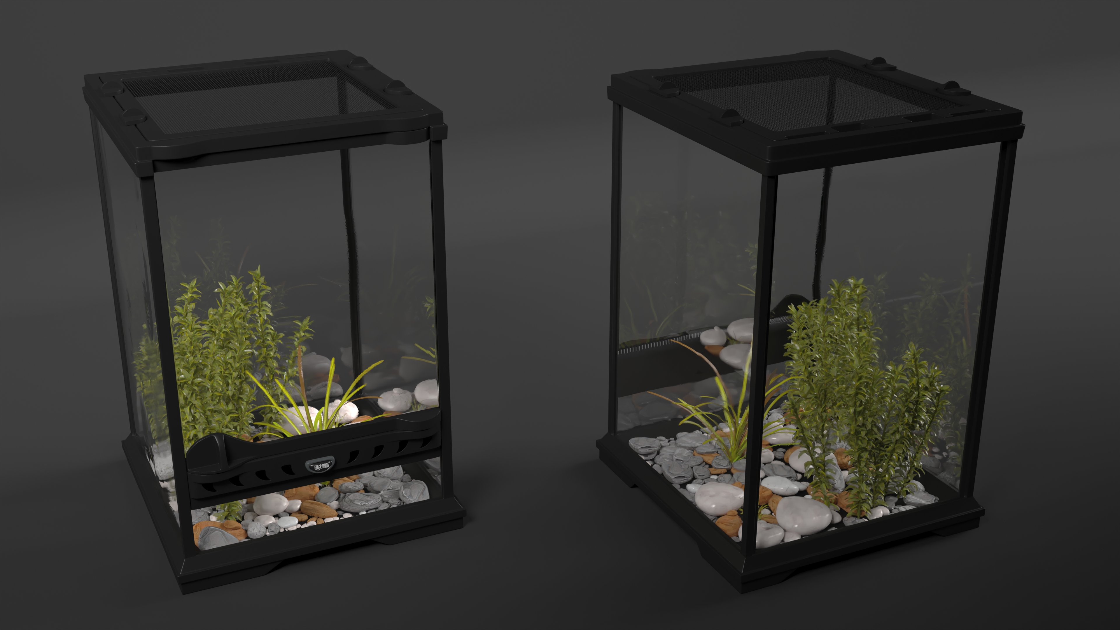 3D Little Desktop Terrarium with Plants