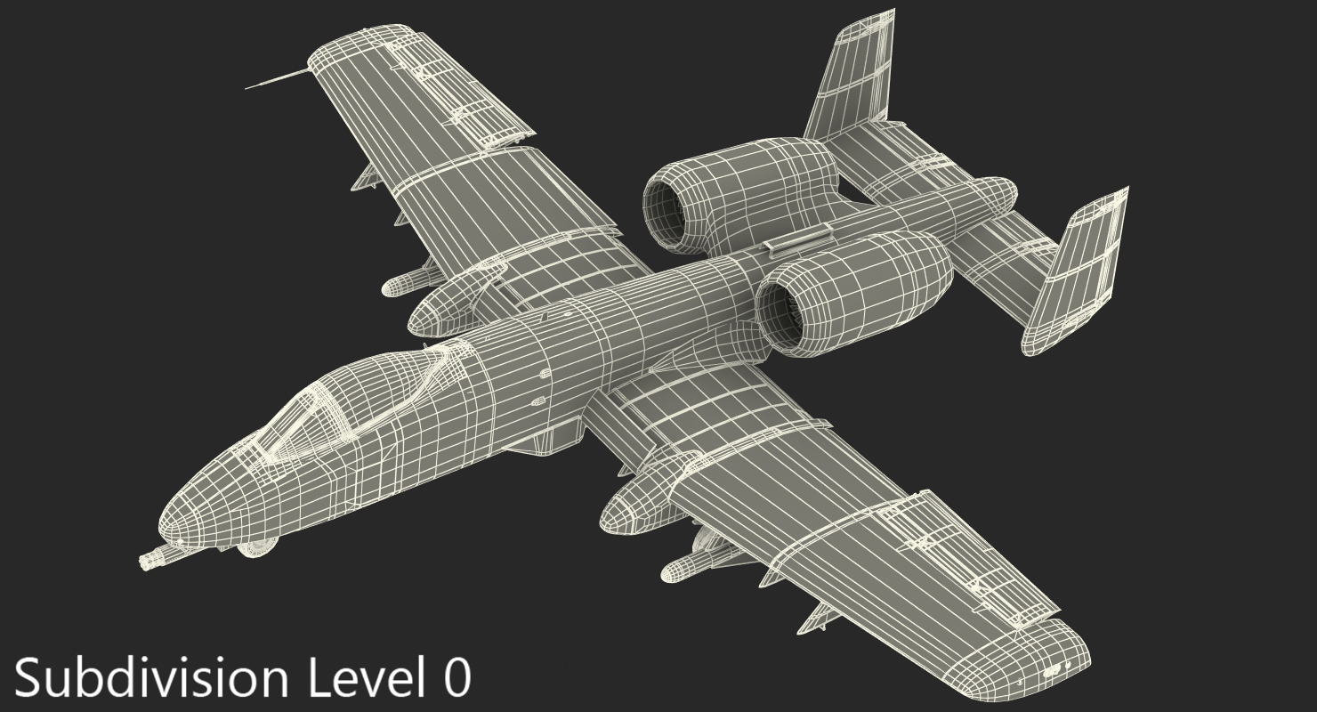 Attack Aircraft A 10 Thunderbolt II Rigged 3D