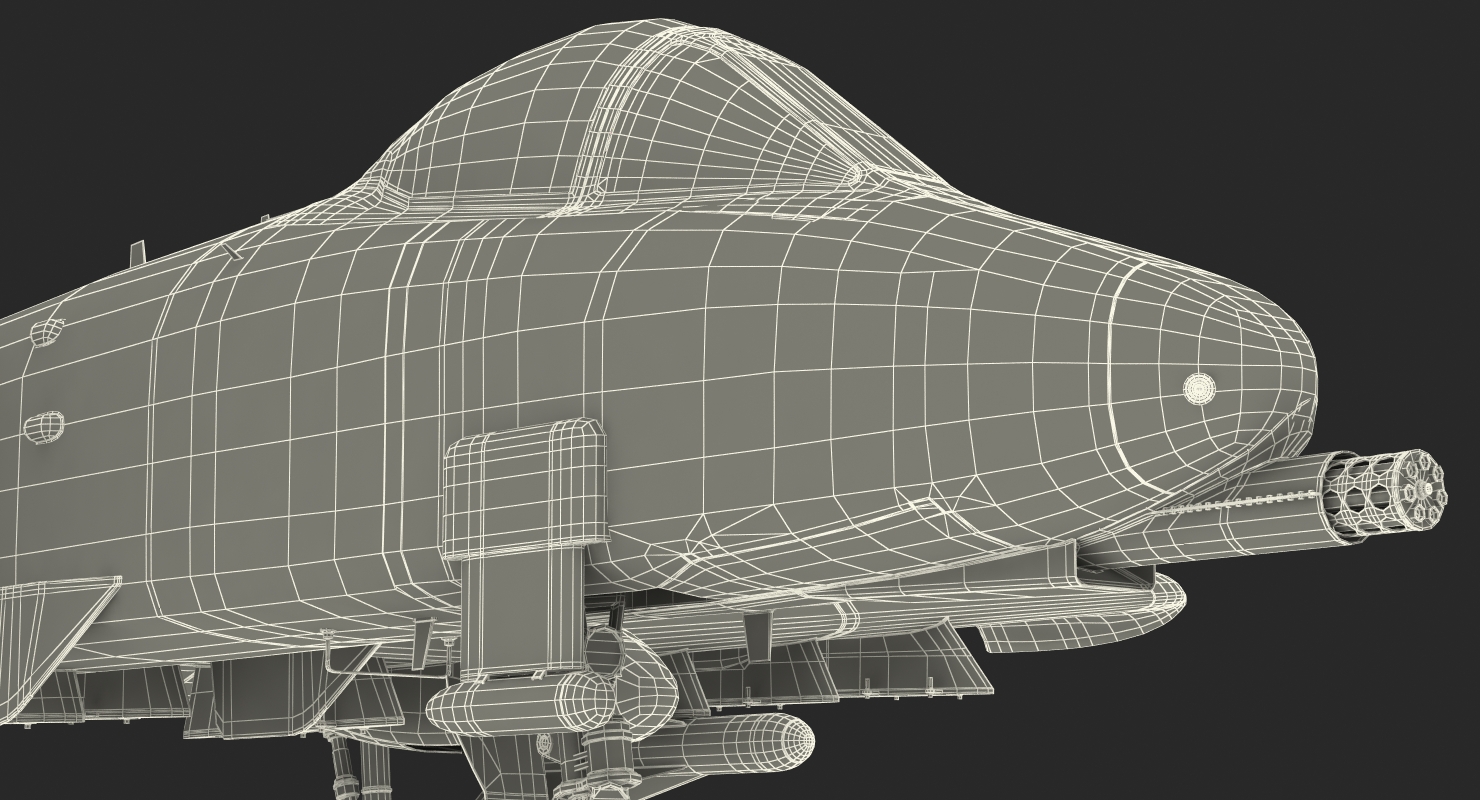 Attack Aircraft A 10 Thunderbolt II Rigged 3D