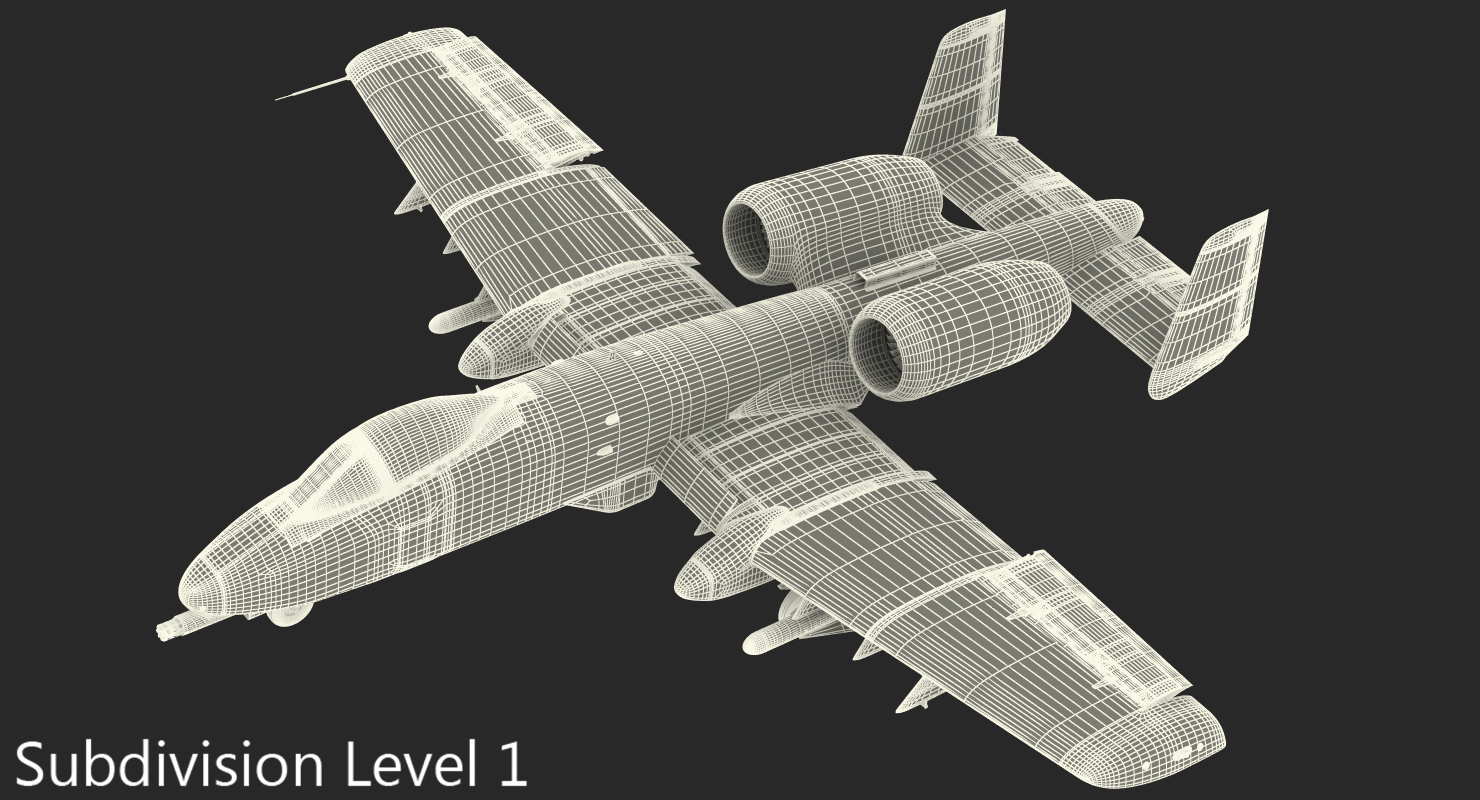 Attack Aircraft A 10 Thunderbolt II Rigged 3D