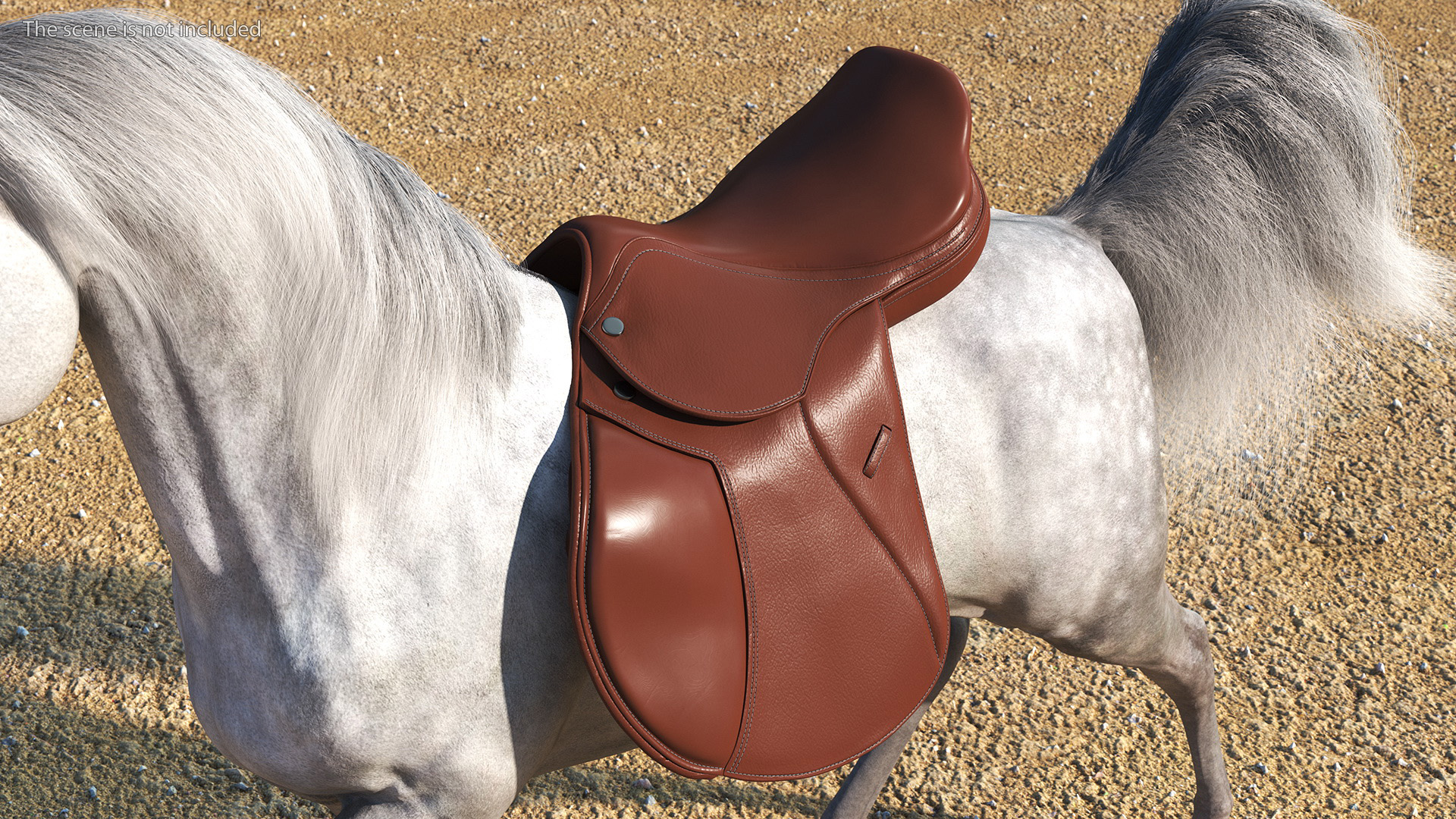 3D All Purpose Saddle model