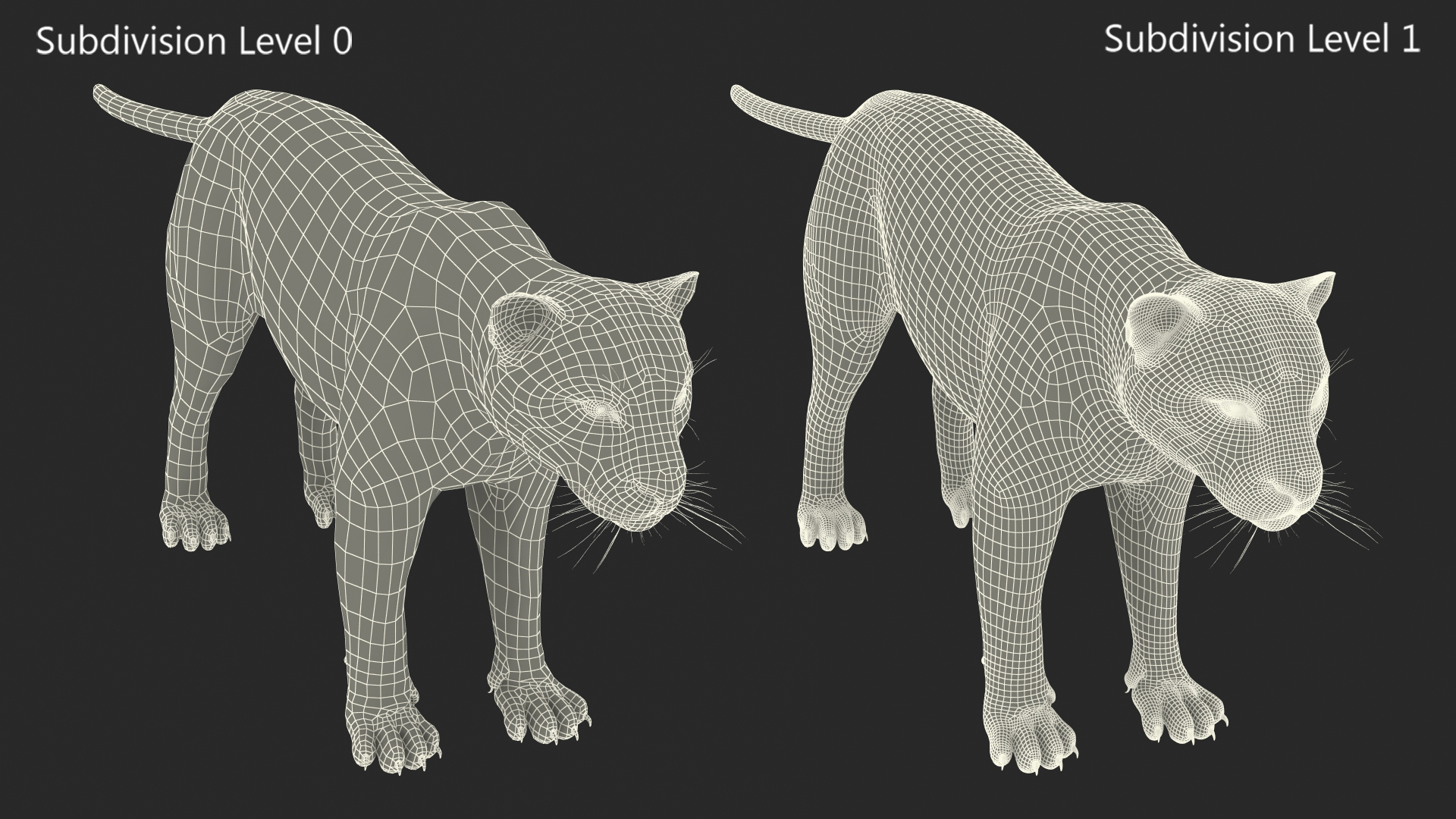 3D model Jaguar Fur