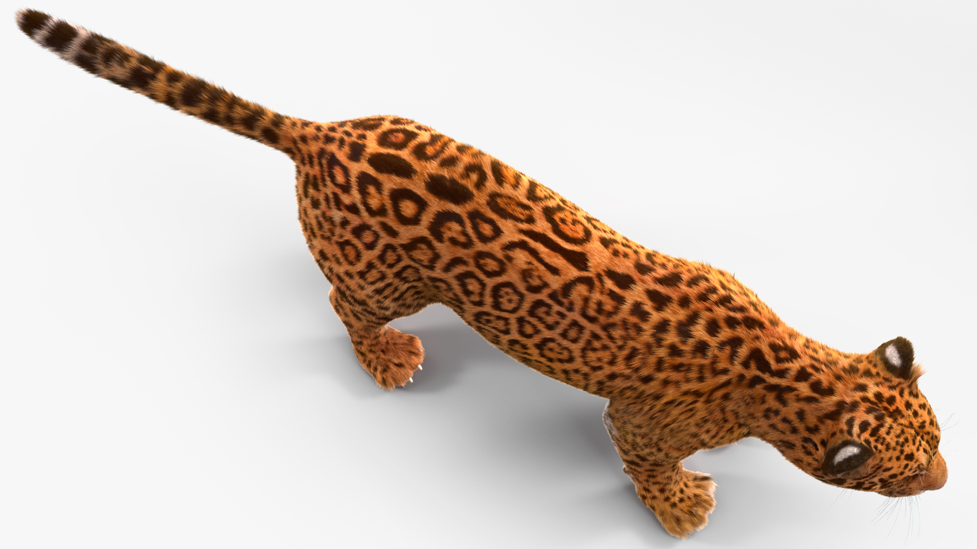 3D model Jaguar Fur