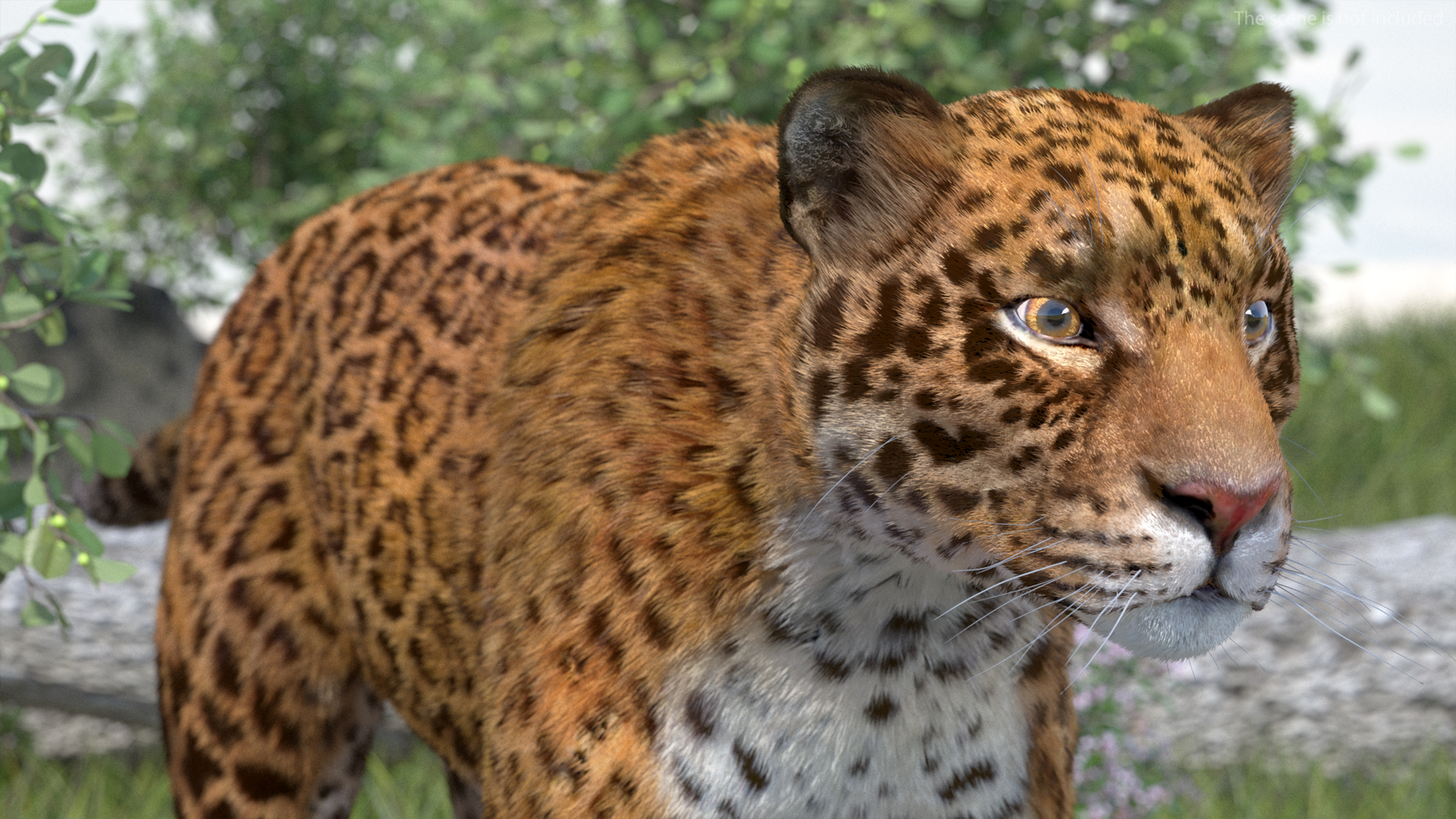 3D model Jaguar Fur