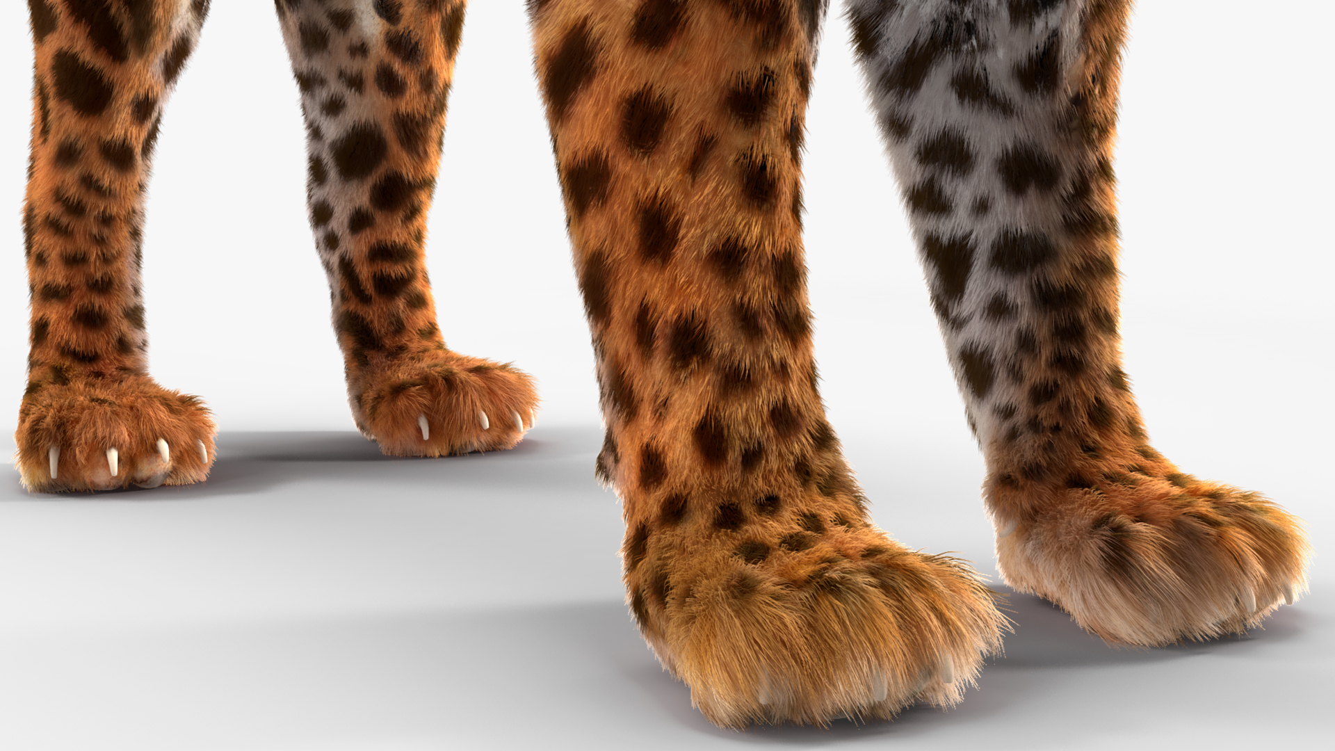 3D model Jaguar Fur