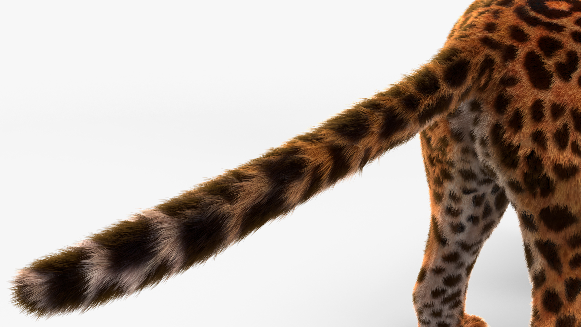 3D model Jaguar Fur