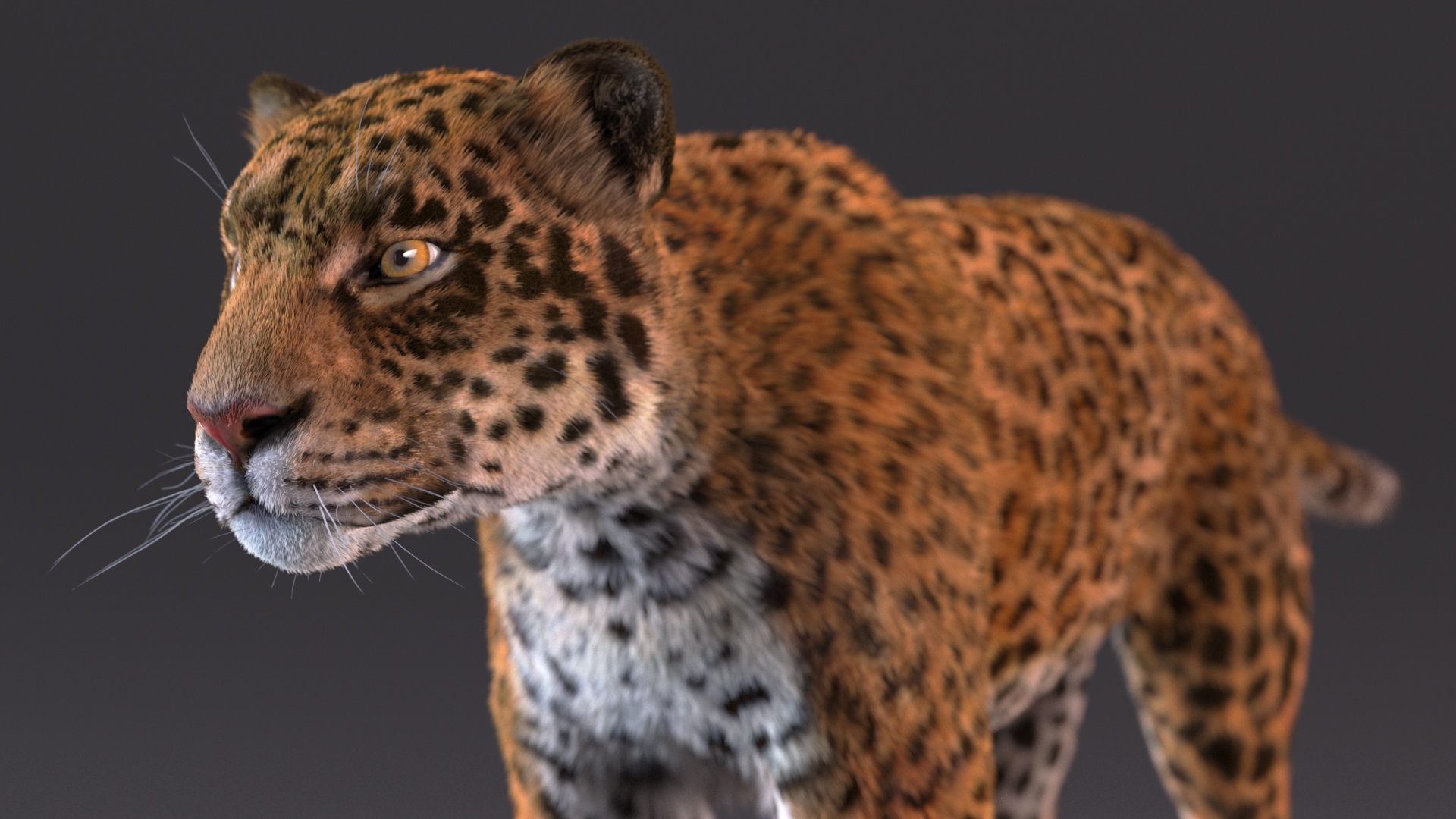 3D model Jaguar Fur