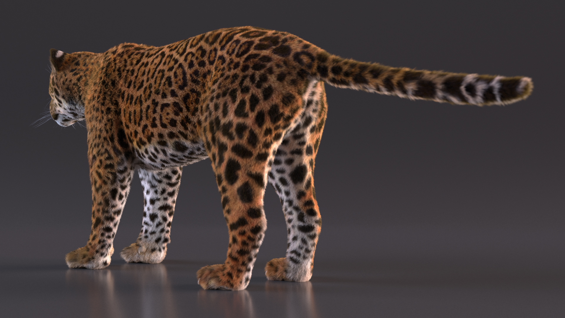 3D model Jaguar Fur