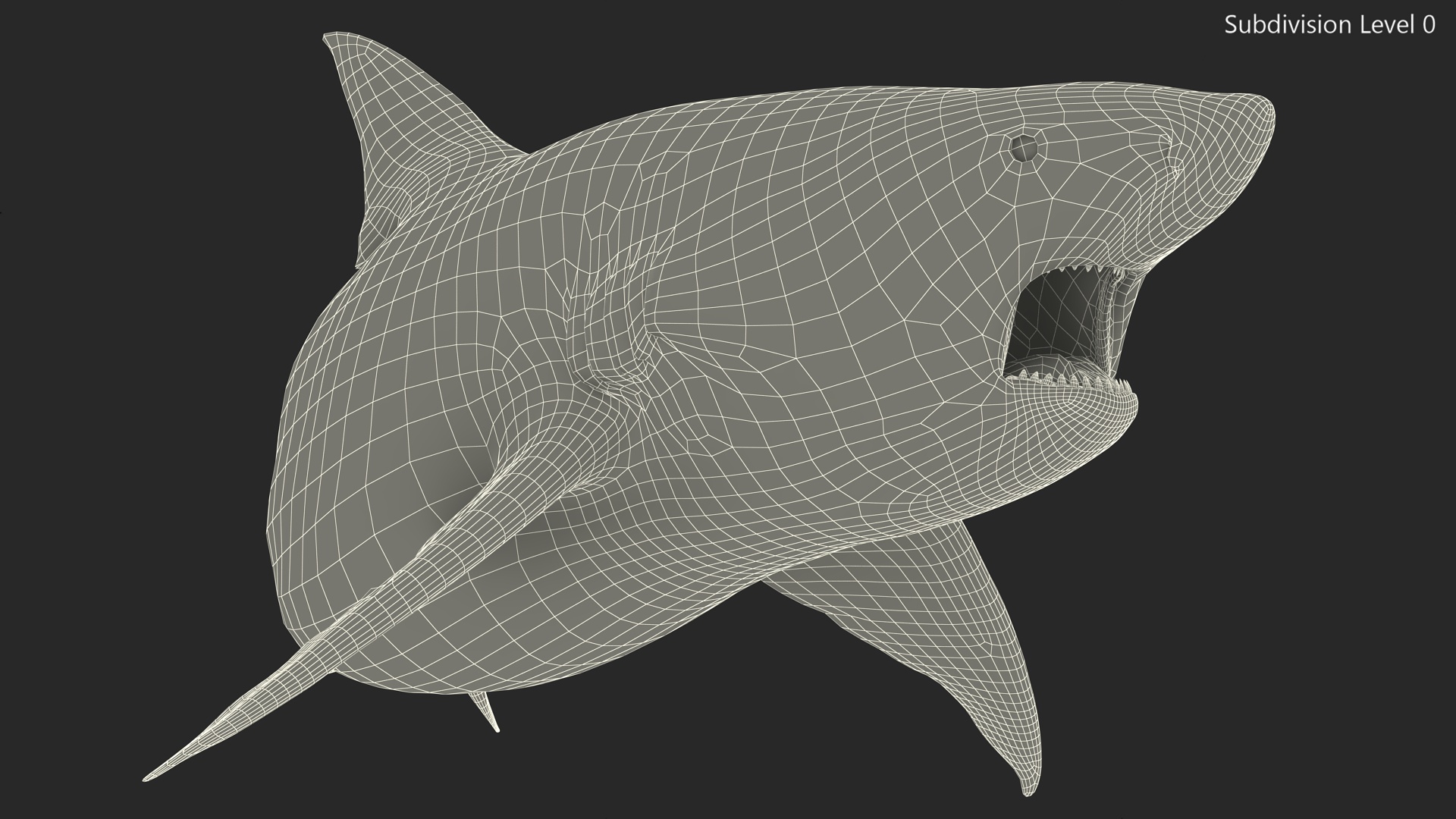 3D model Carcharhinus Amboinensis Shark