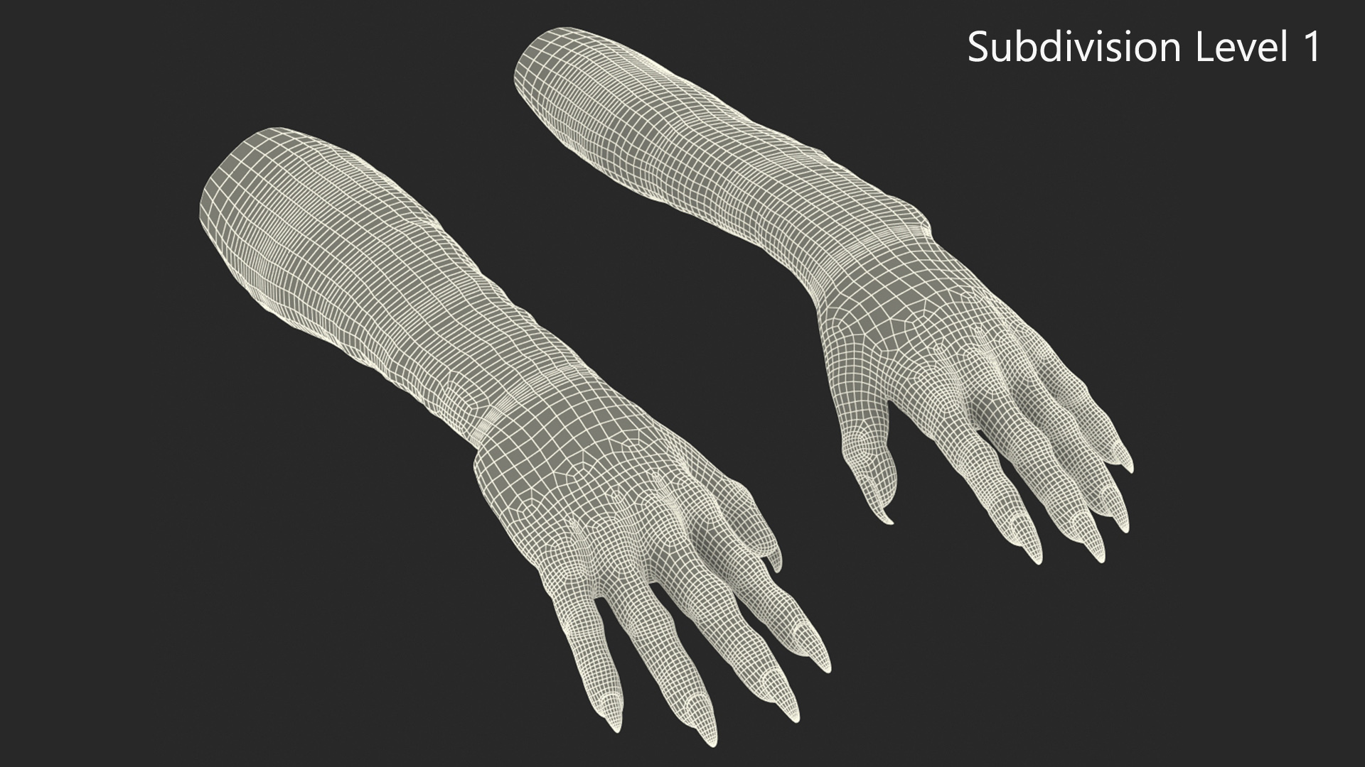 Witch Hands Rigged for Maya 3D