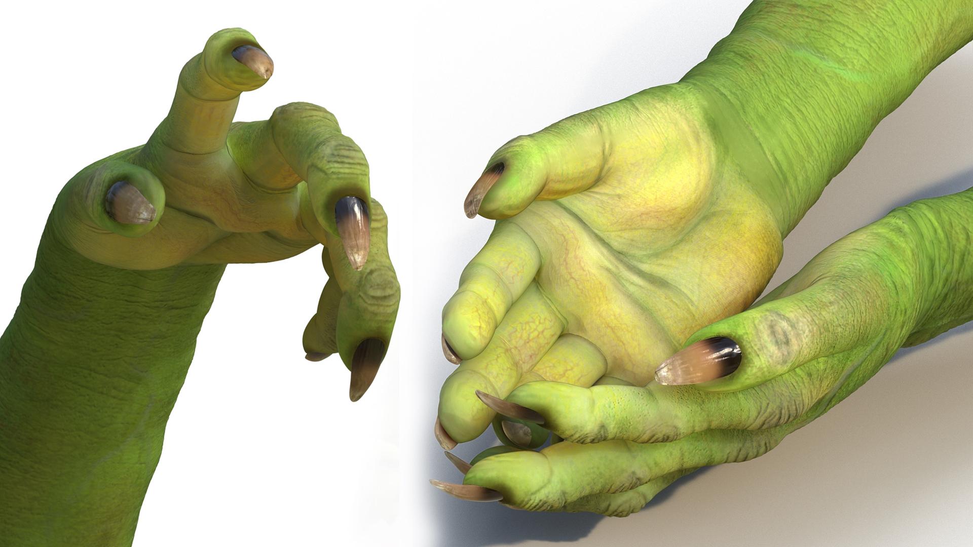 Witch Hands Rigged for Maya 3D