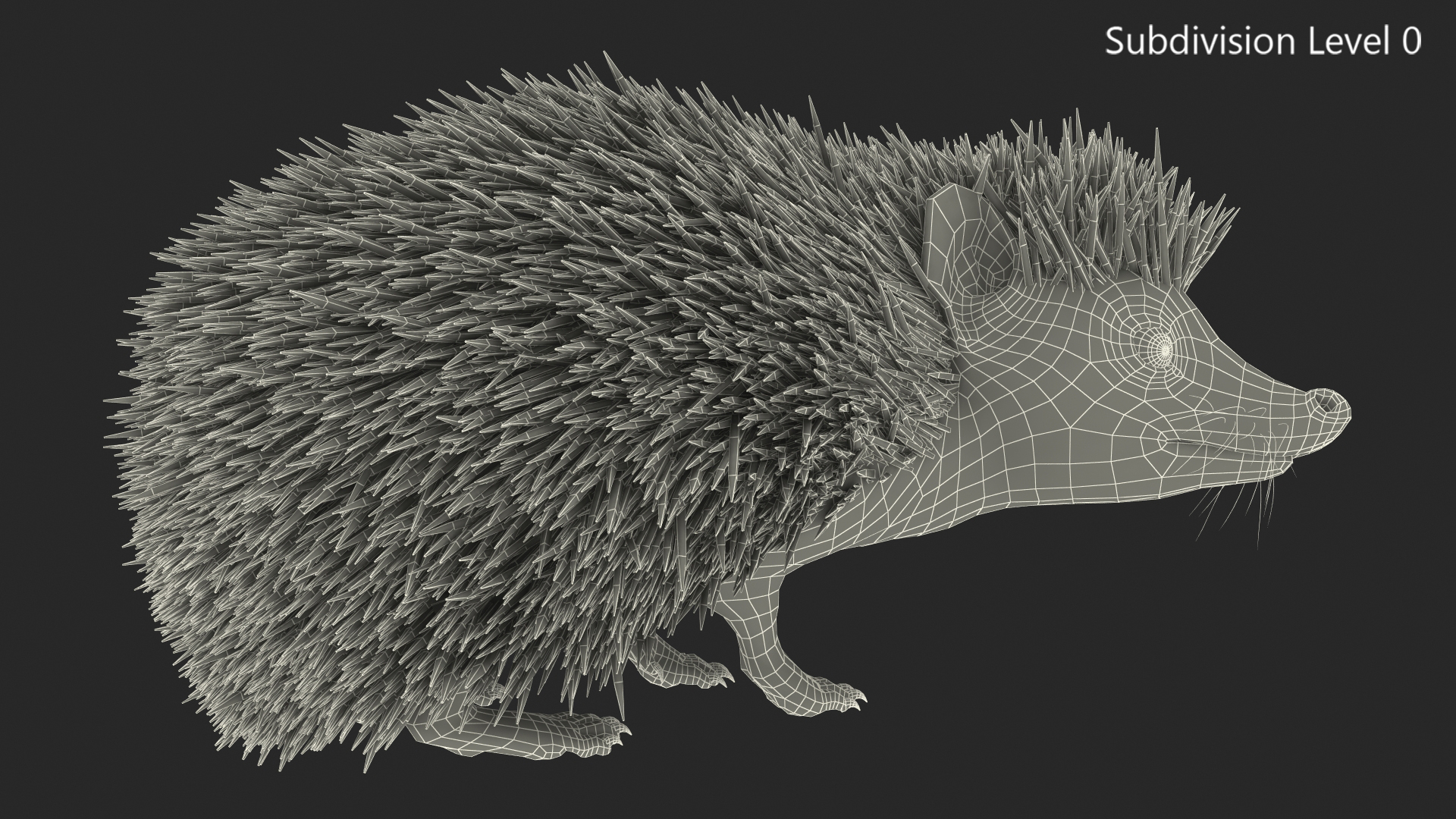 White Standing Hedgehog Fur 3D