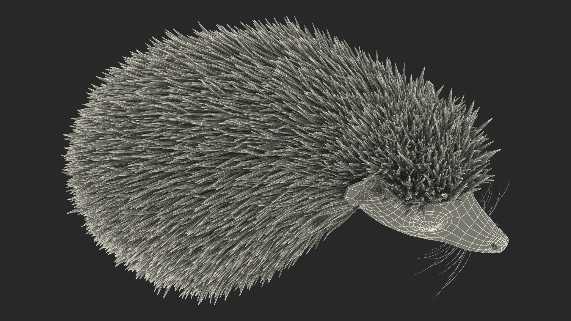 White Standing Hedgehog Fur 3D