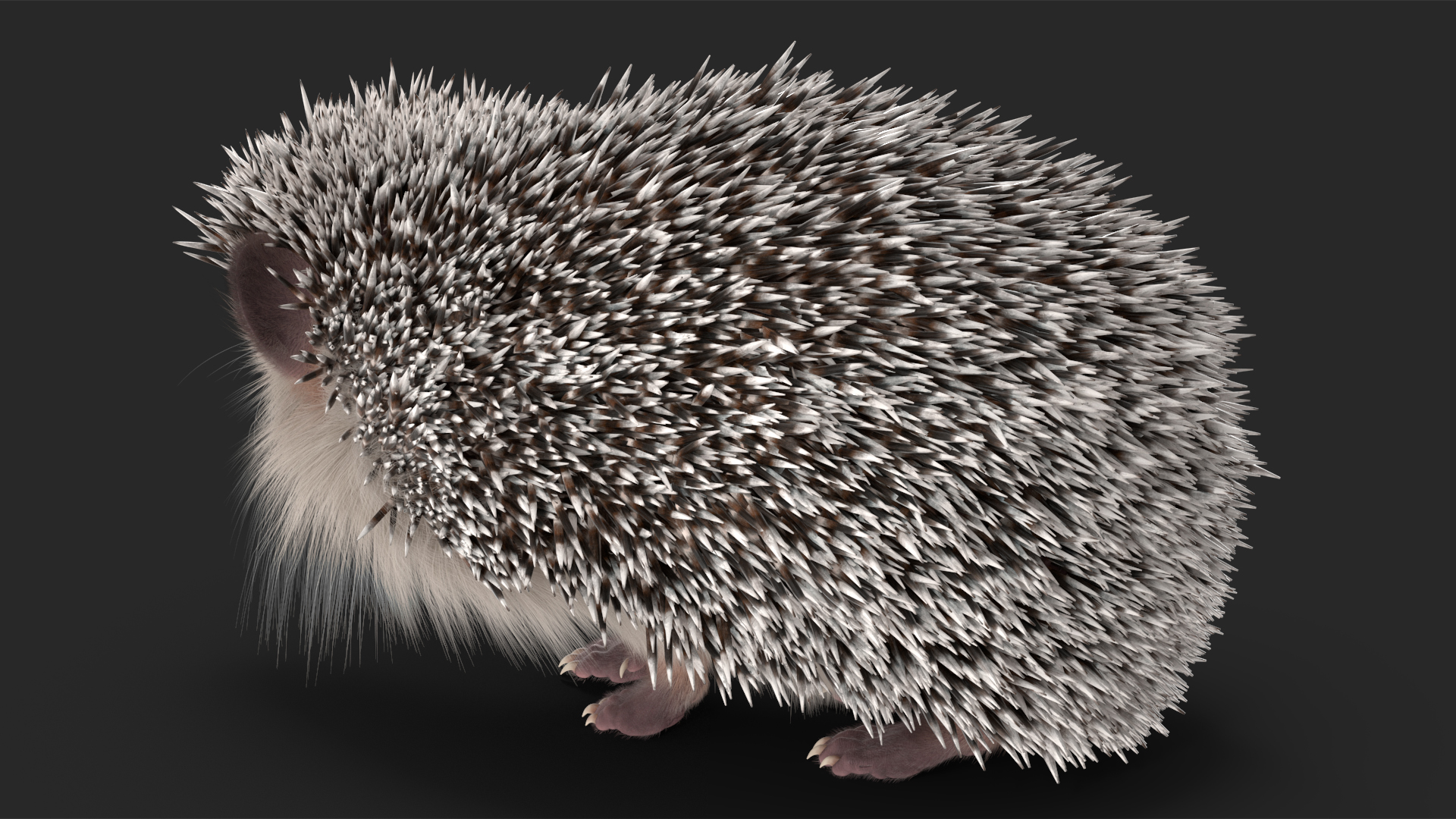 White Standing Hedgehog Fur 3D