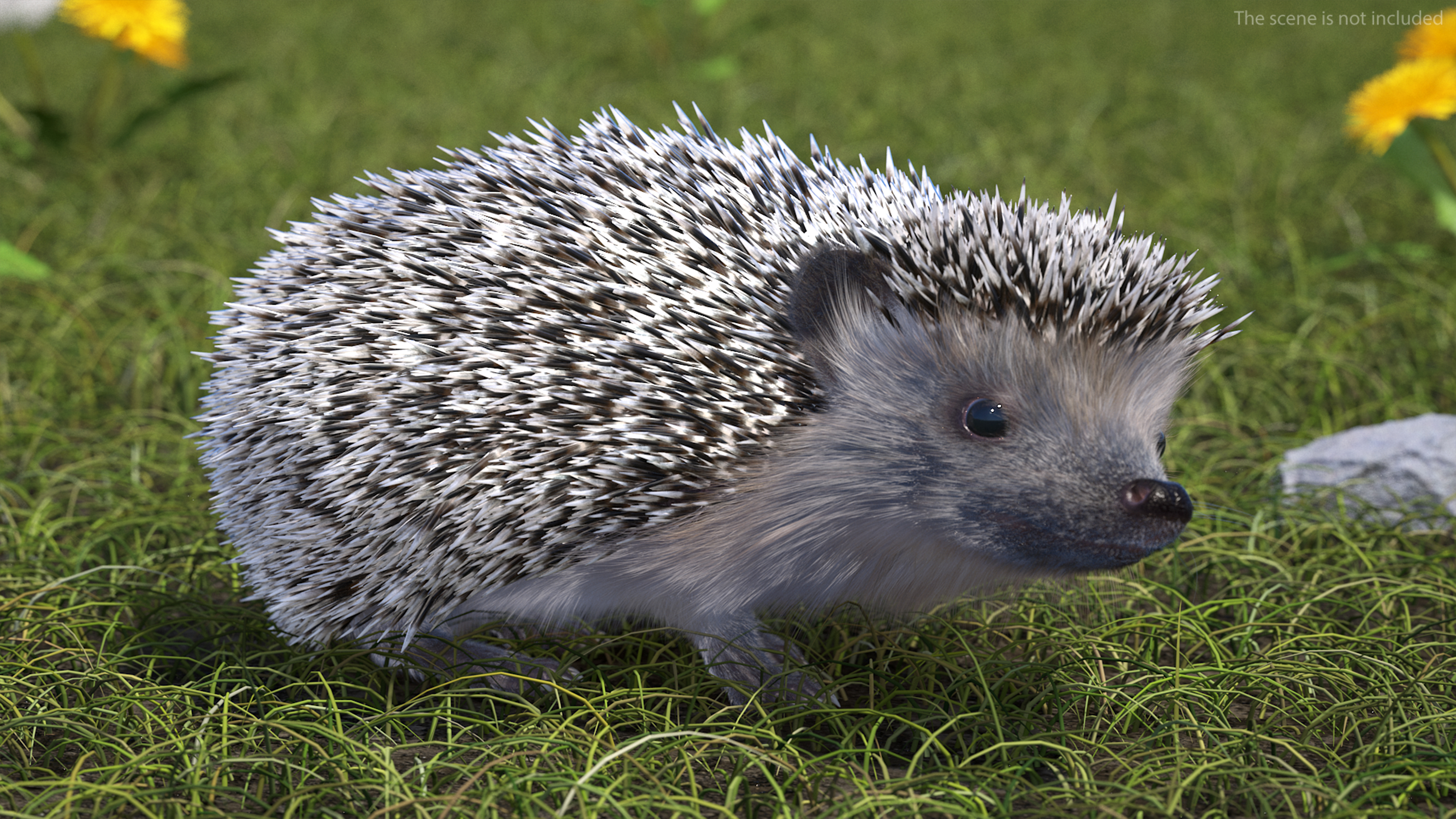 White Standing Hedgehog Fur 3D