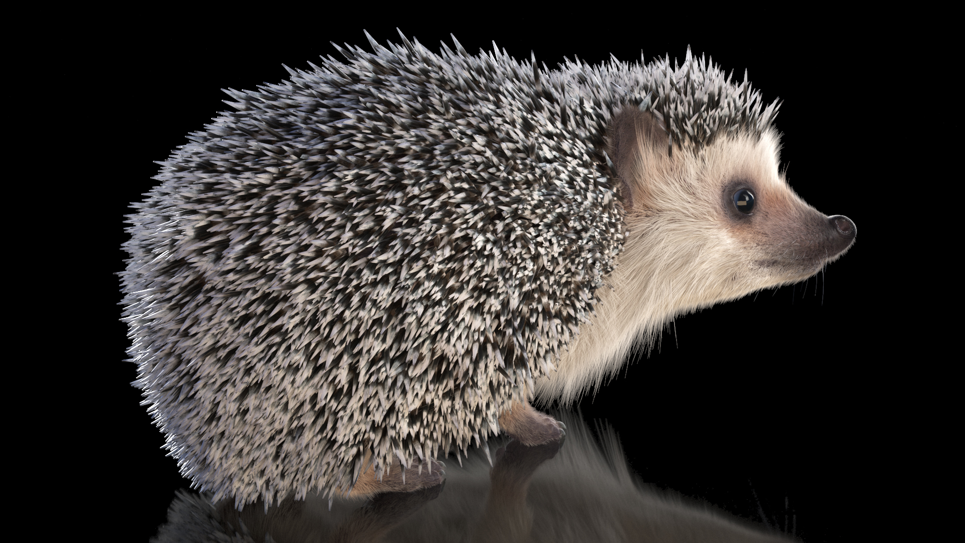 White Standing Hedgehog Fur 3D