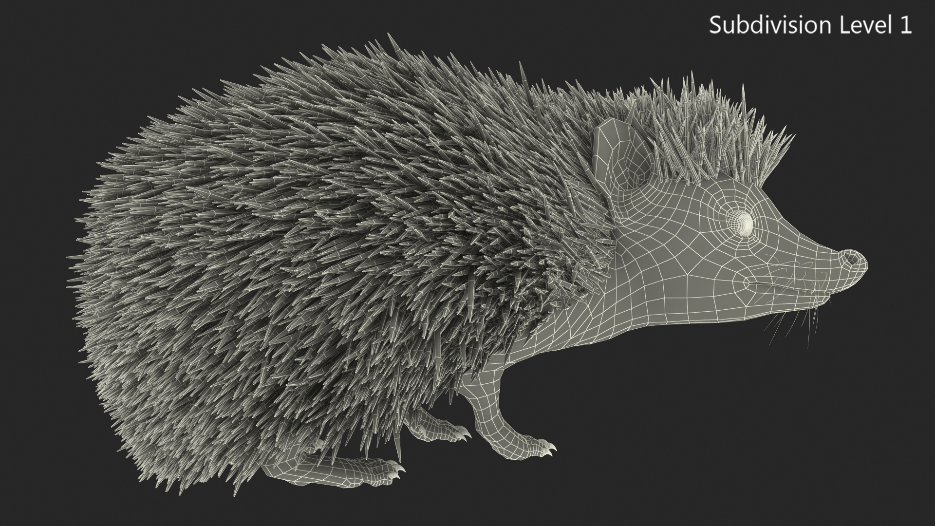 White Standing Hedgehog Fur 3D