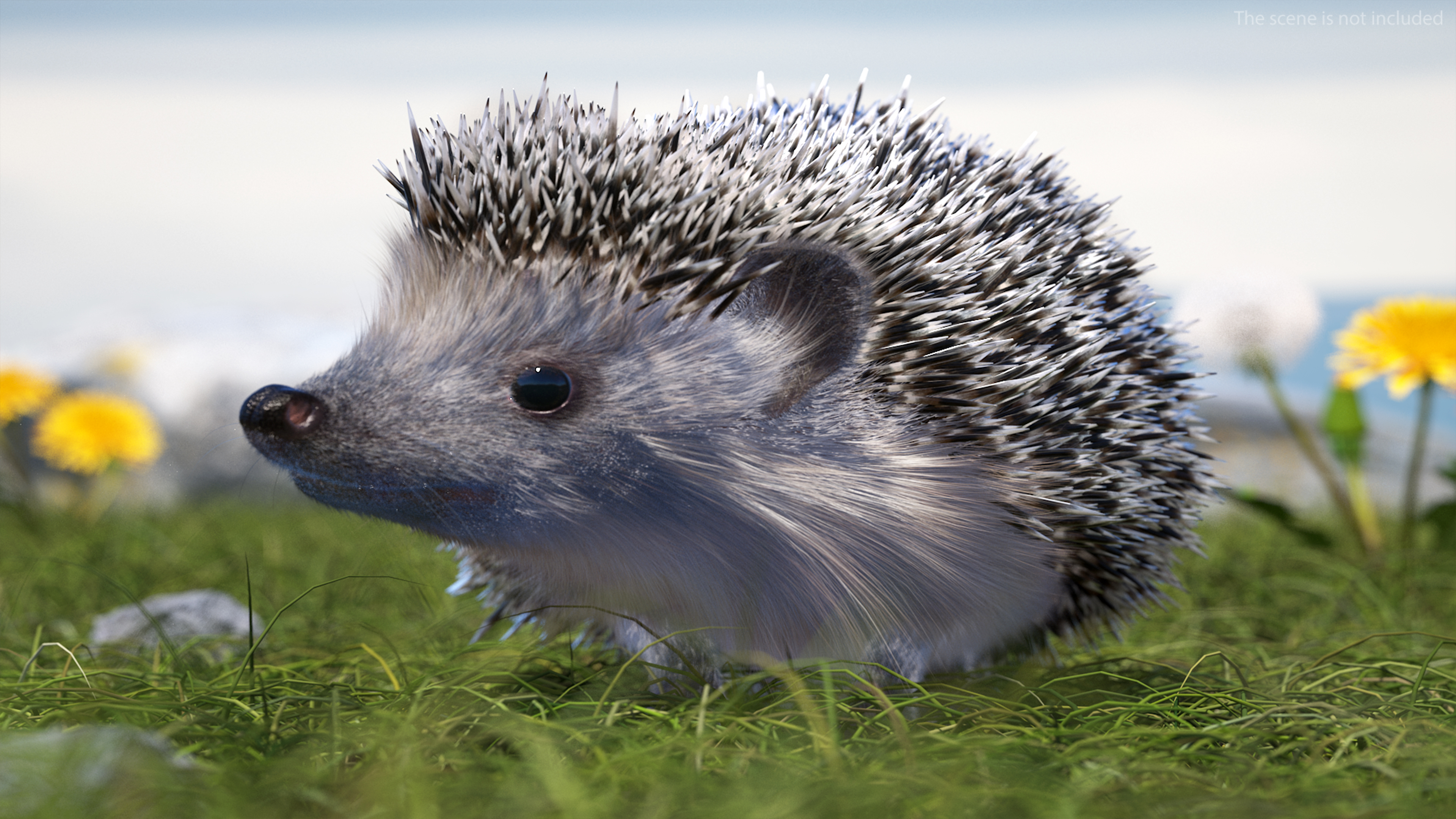 White Standing Hedgehog Fur 3D