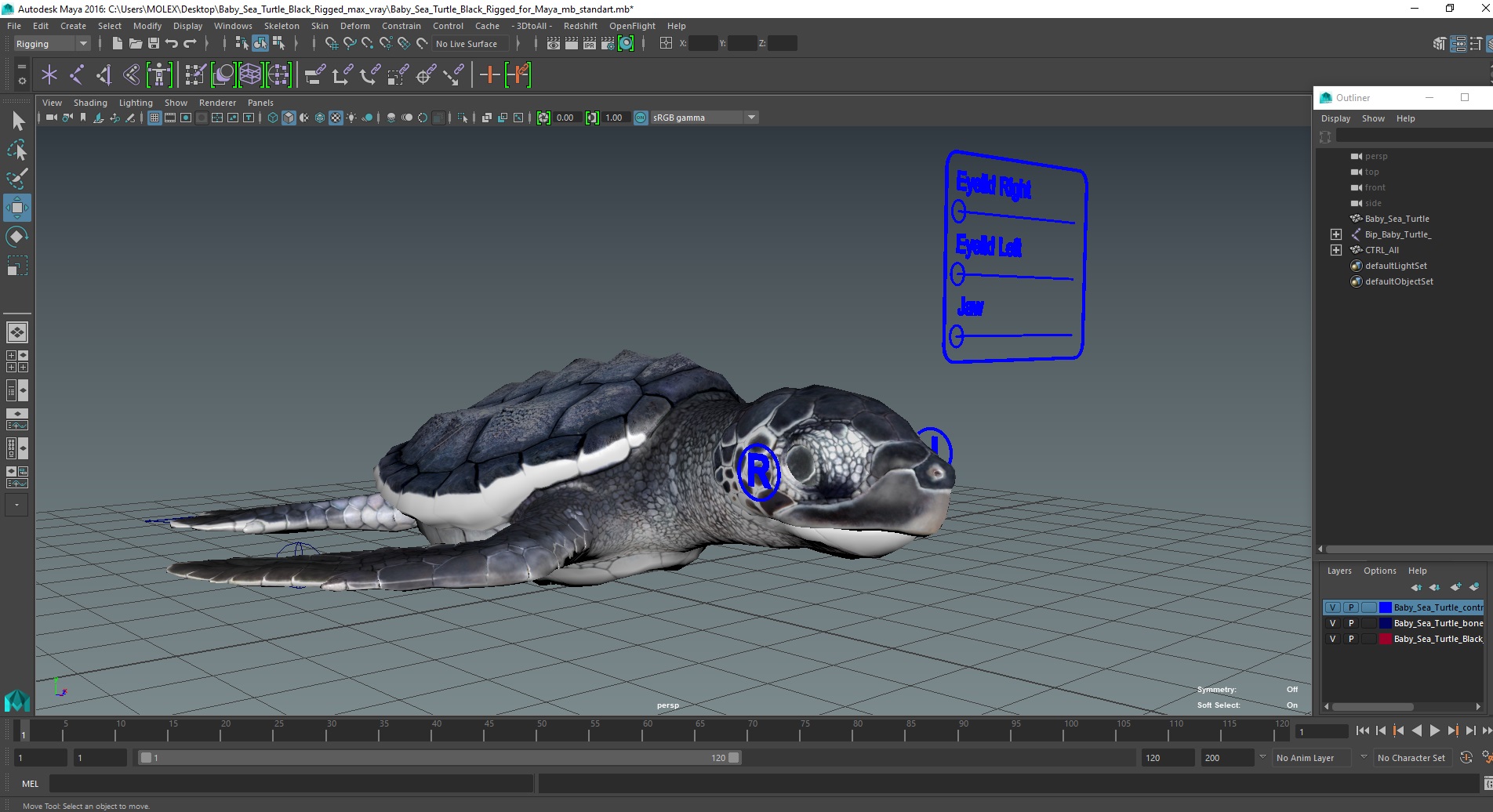 Baby Sea Turtle Black Rigged for Maya 3D