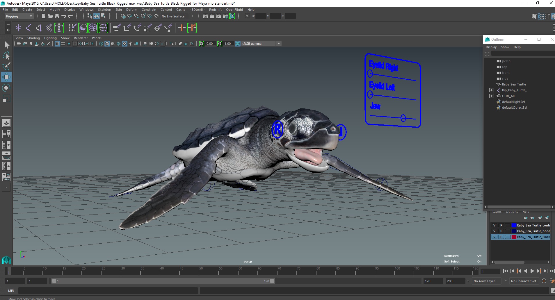 Baby Sea Turtle Black Rigged for Maya 3D