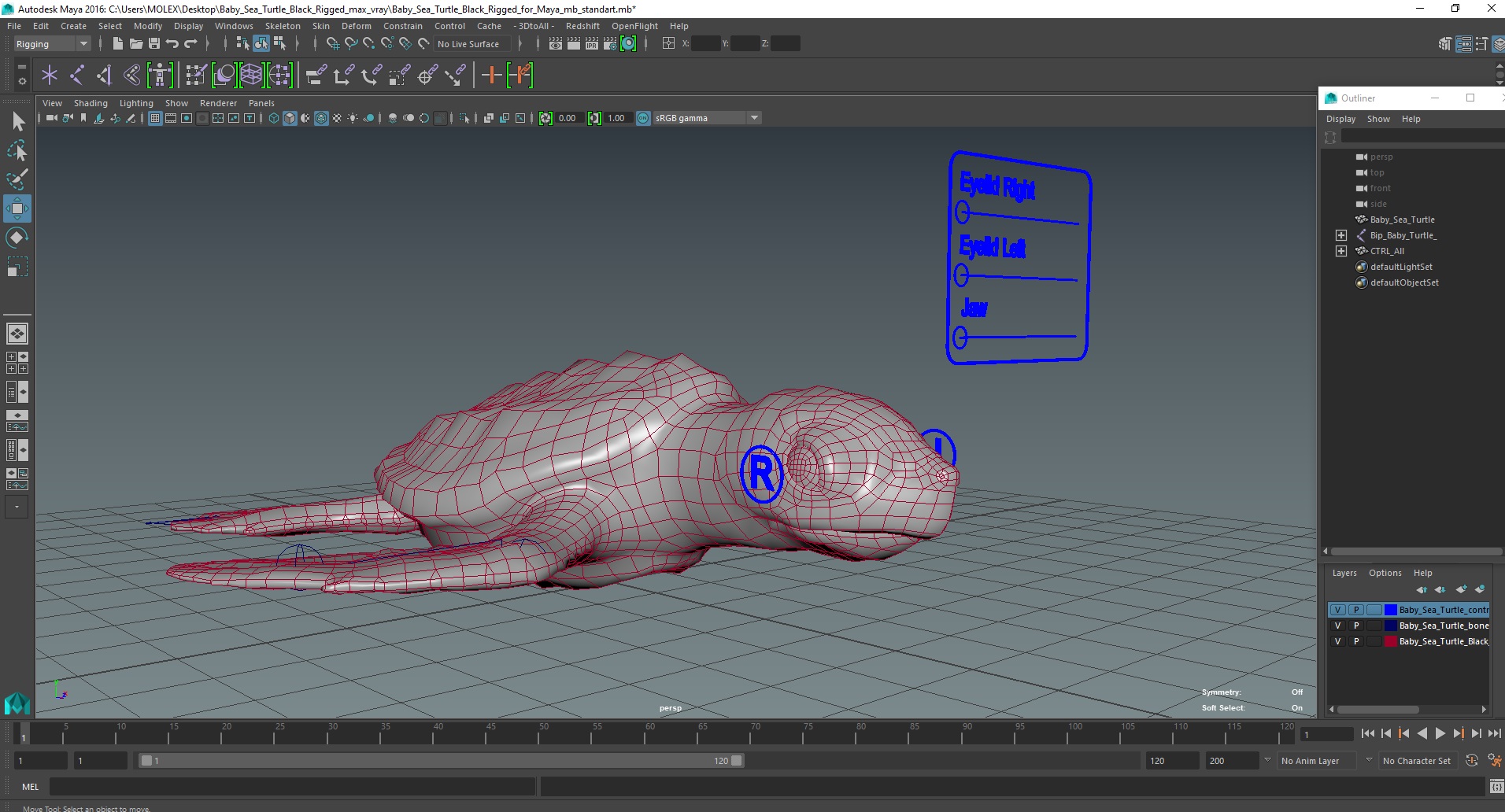 Baby Sea Turtle Black Rigged for Maya 3D