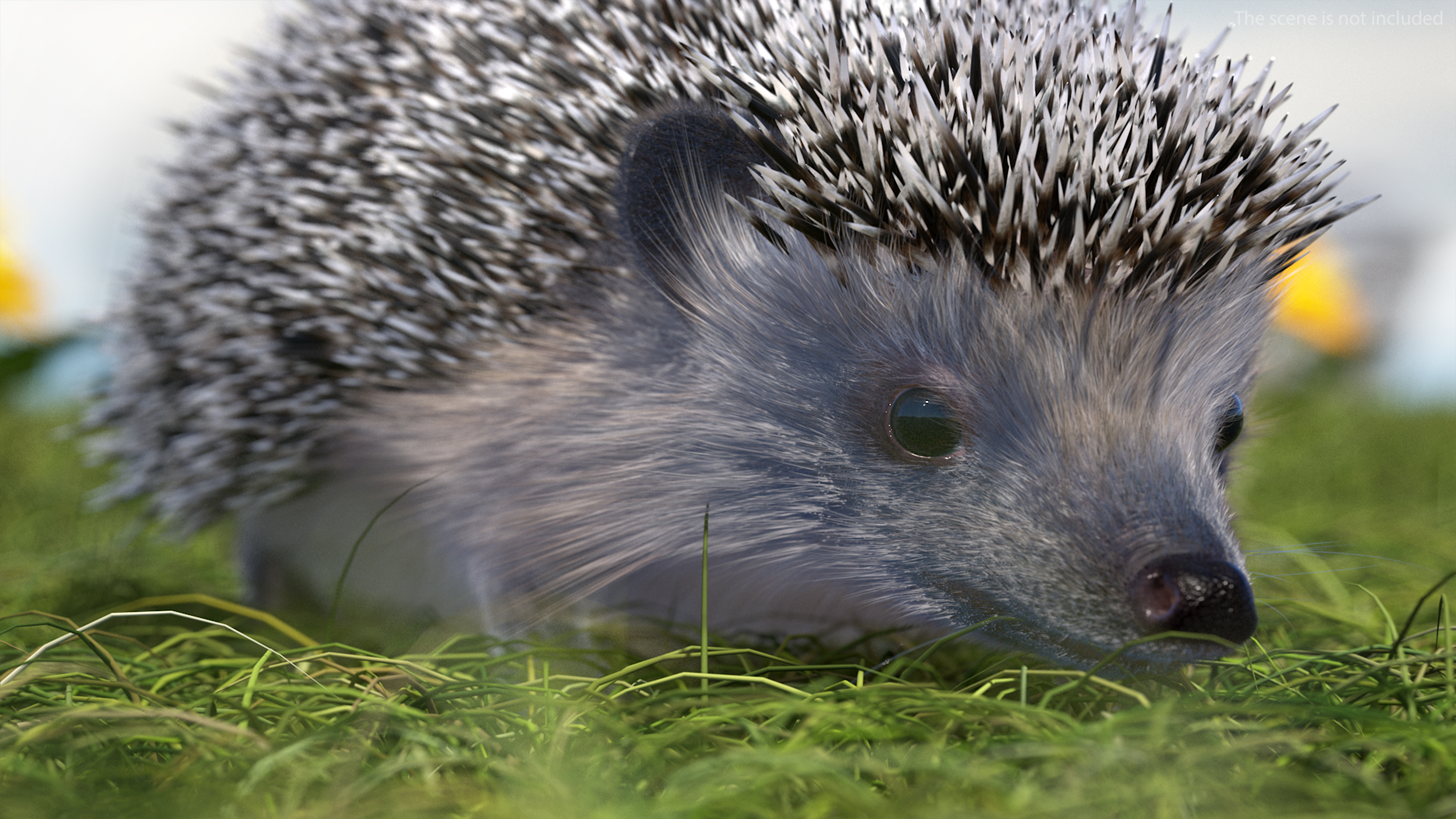 3D model Black Hedgehog Fur Rigged