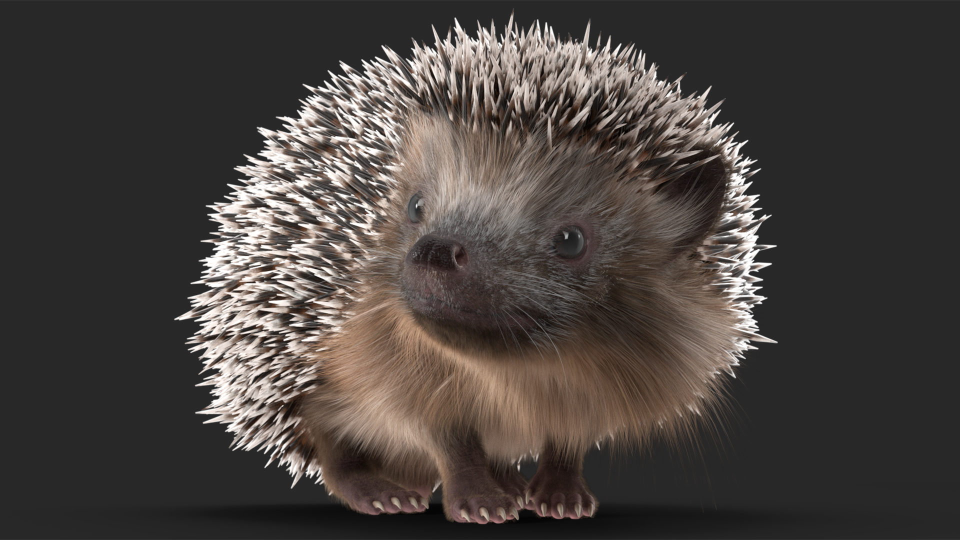 3D model Black Hedgehog Fur Rigged