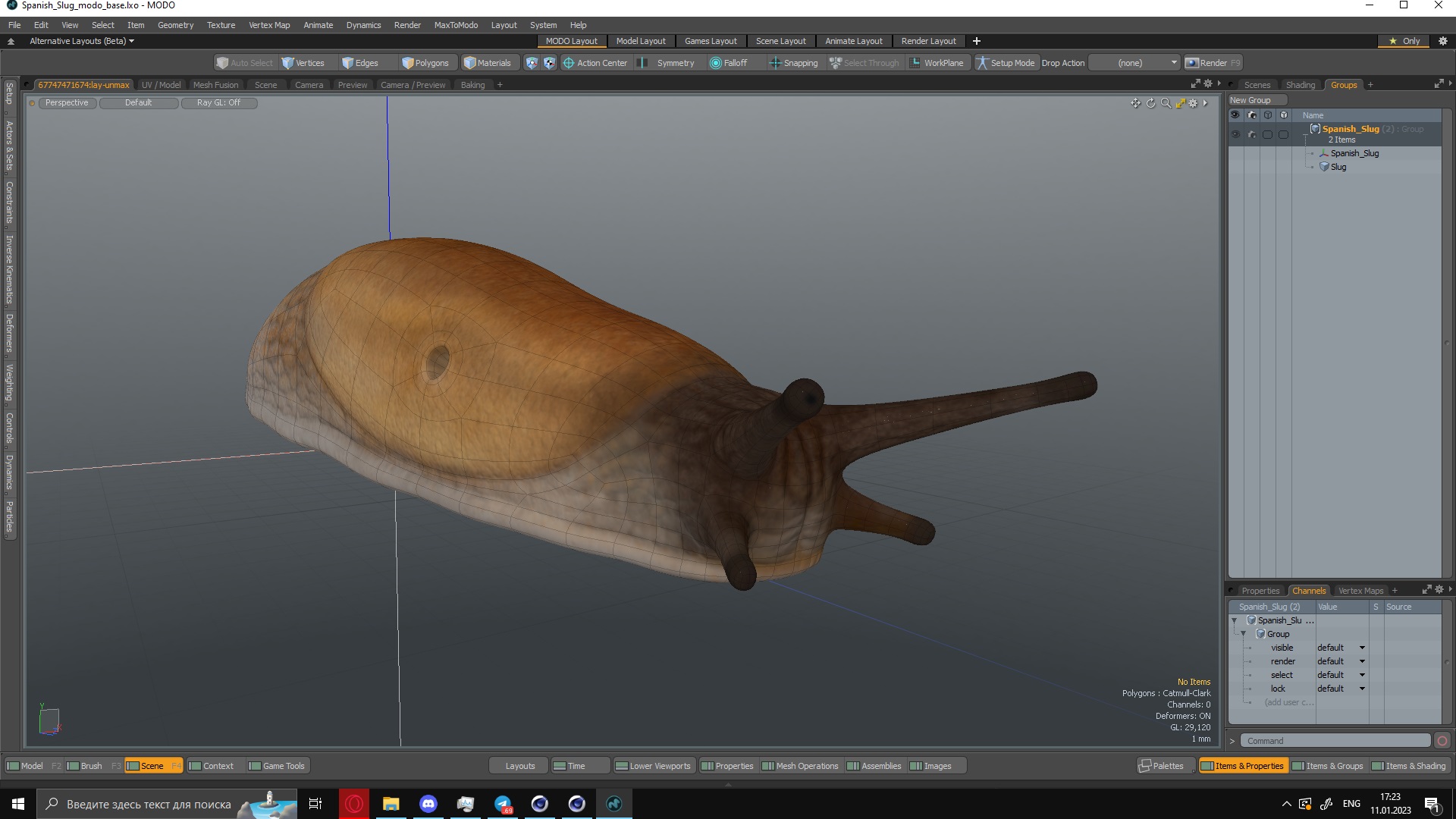 Spanish Slug 3D