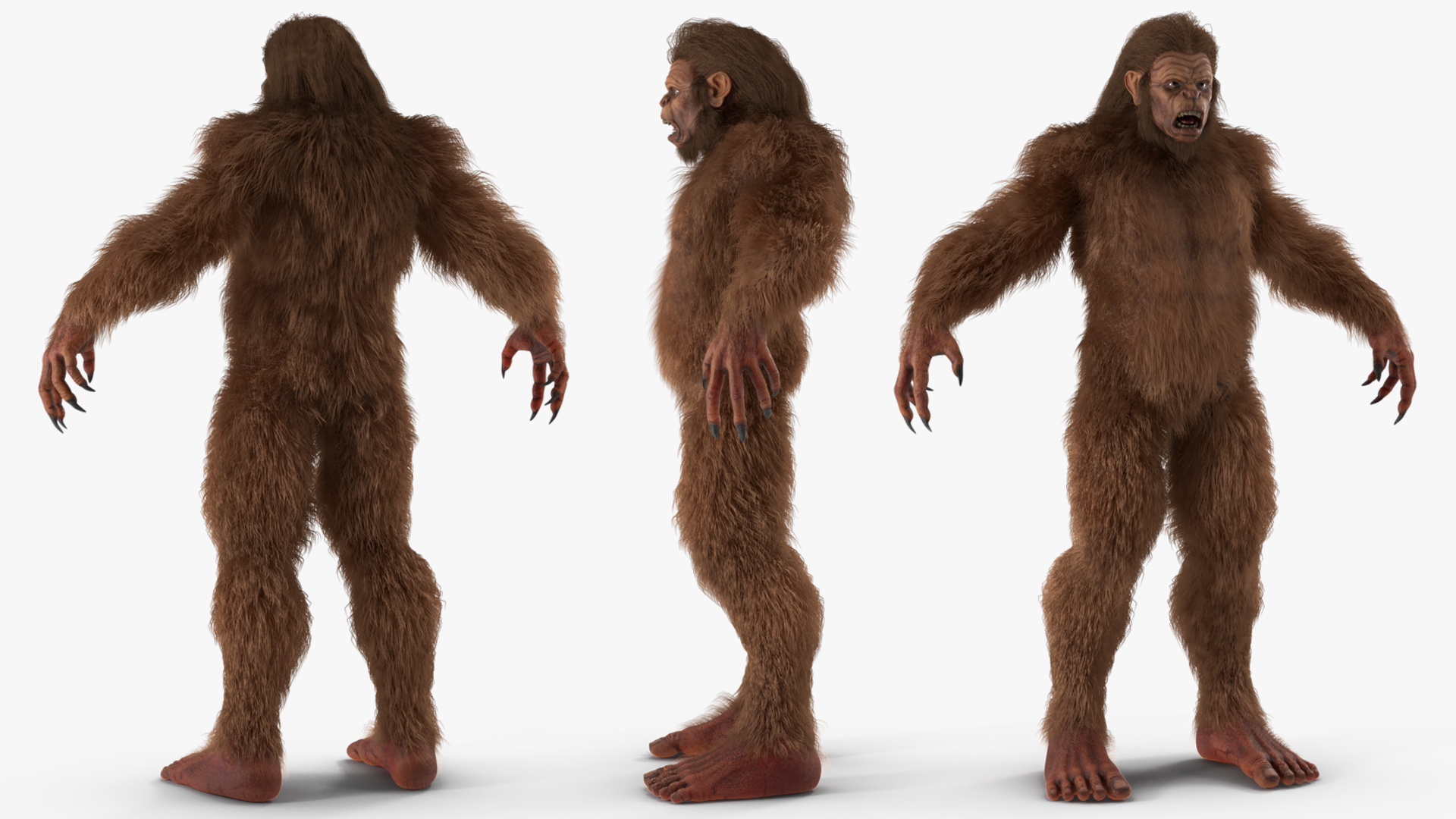 3D model Sasquatch Rigged Fur