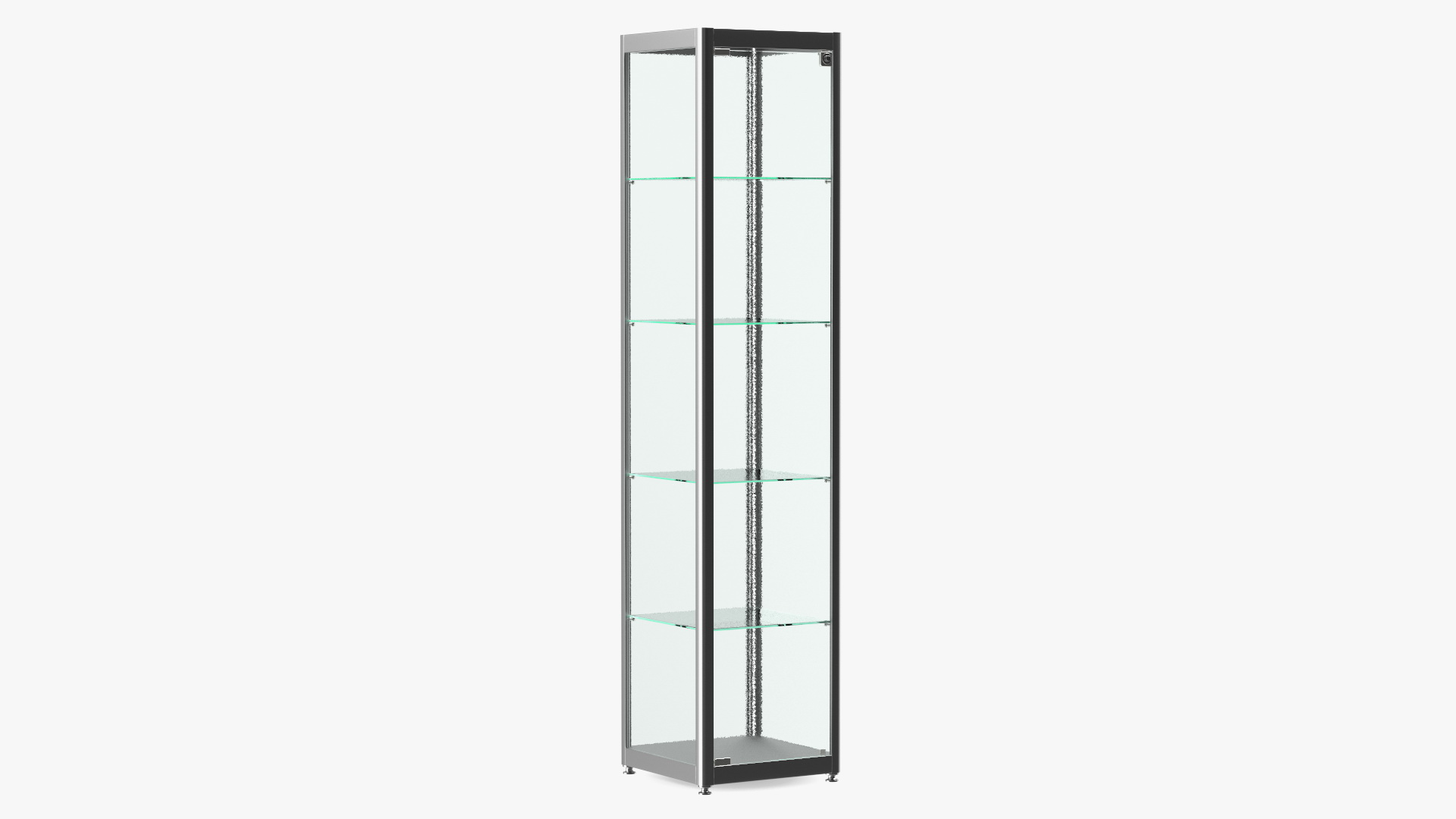 Glass Display Case Narrow Silver 3D