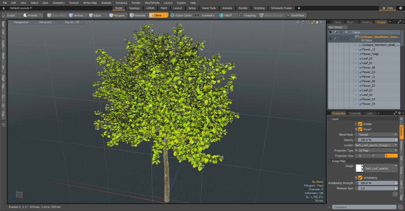 3D model Cockspur Hawthorn Small with Flower