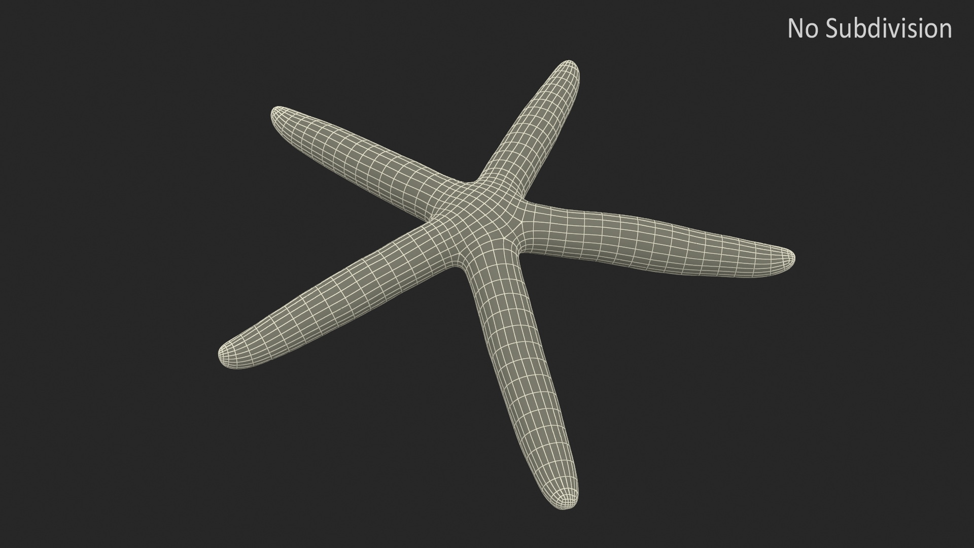 3D Ocean Starfish Rigged