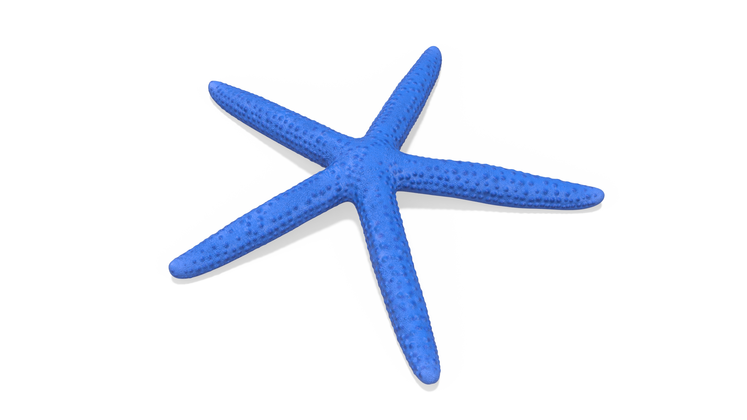 3D Ocean Starfish Rigged