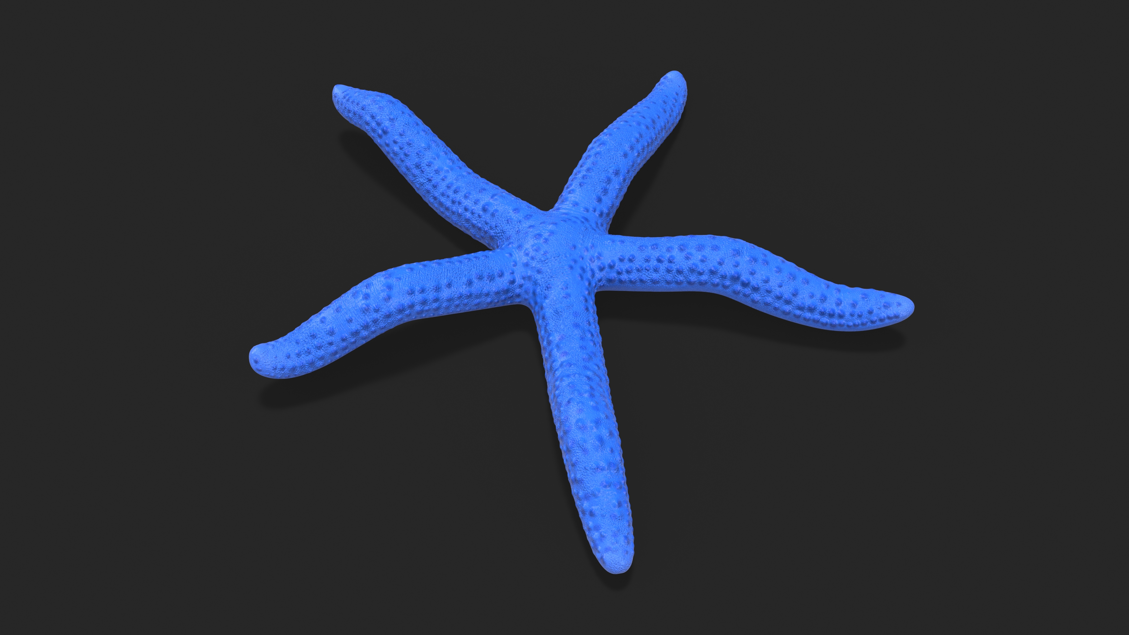 3D Ocean Starfish Rigged