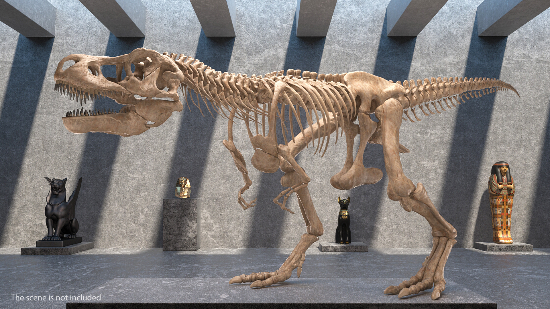 3D Tyrannosaurus Rex Skeleton Fossil Walking Pose