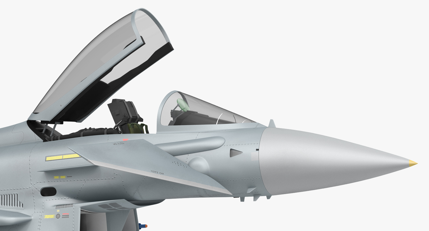 Multirole Fighter Eurofighter Typhoon Rigged 3D model